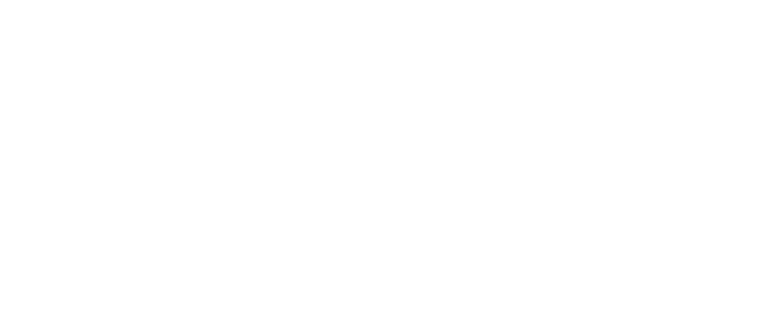 CK logo white.png