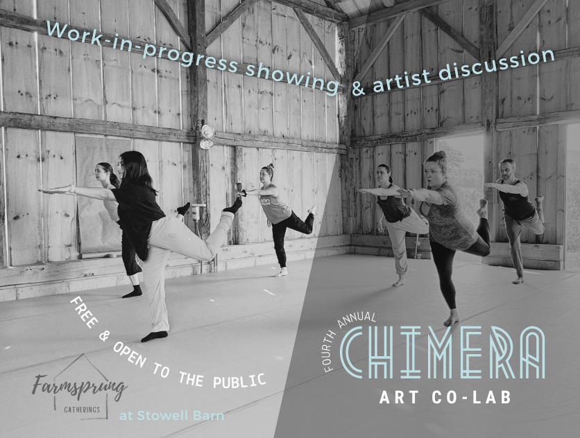 CHIMERA Art Co-Lab 2025