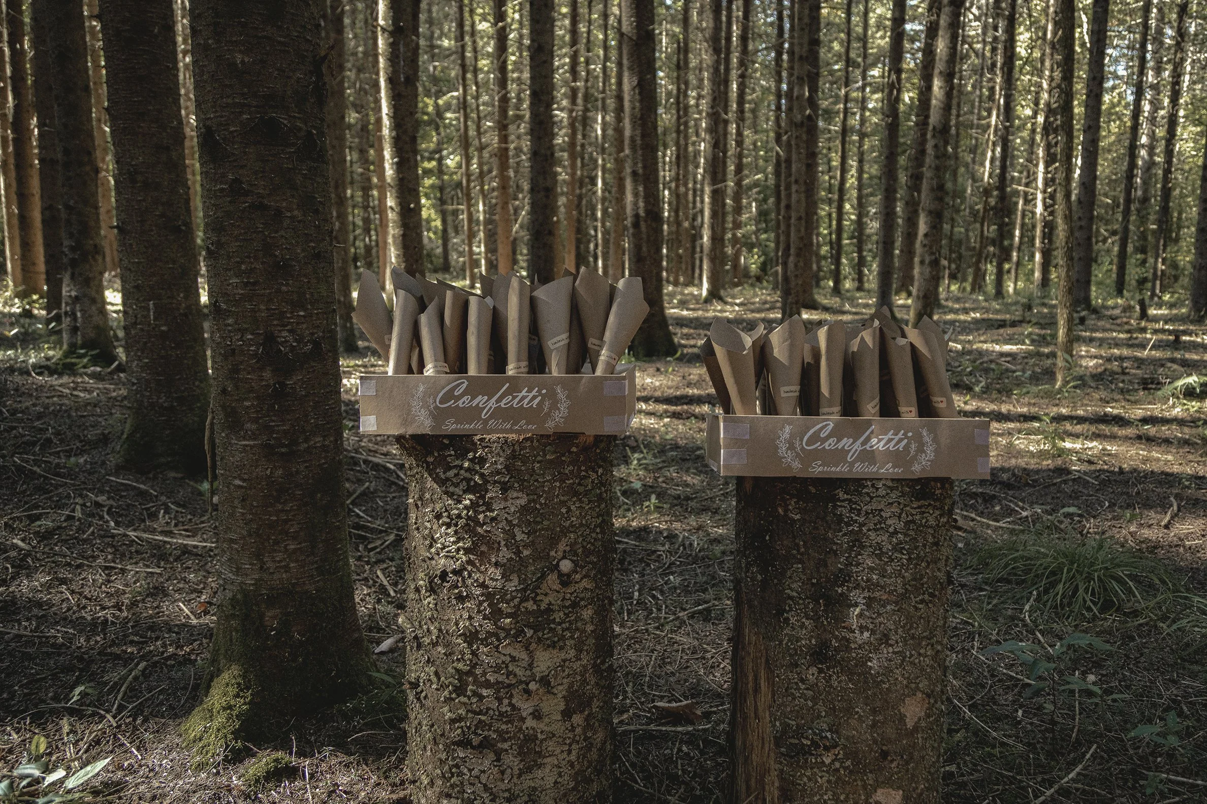 wakefield-outdoor-rustic-wedding-photography-9994 0010.jpg