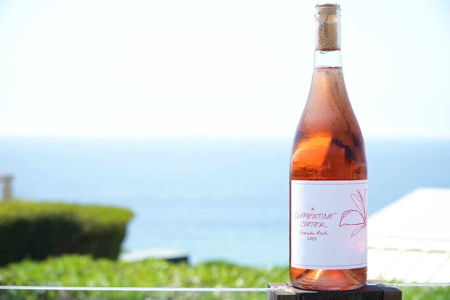 Come hang Sunday afternoon! Clementine Carter&rsquo;s very own Sonja is hosting us in her home for a private wine tasting. If you don&rsquo;t know her, you&rsquo;ll quickly find she&rsquo;s as lovely as the wine!! 

Don&rsquo;t miss it. Register at l