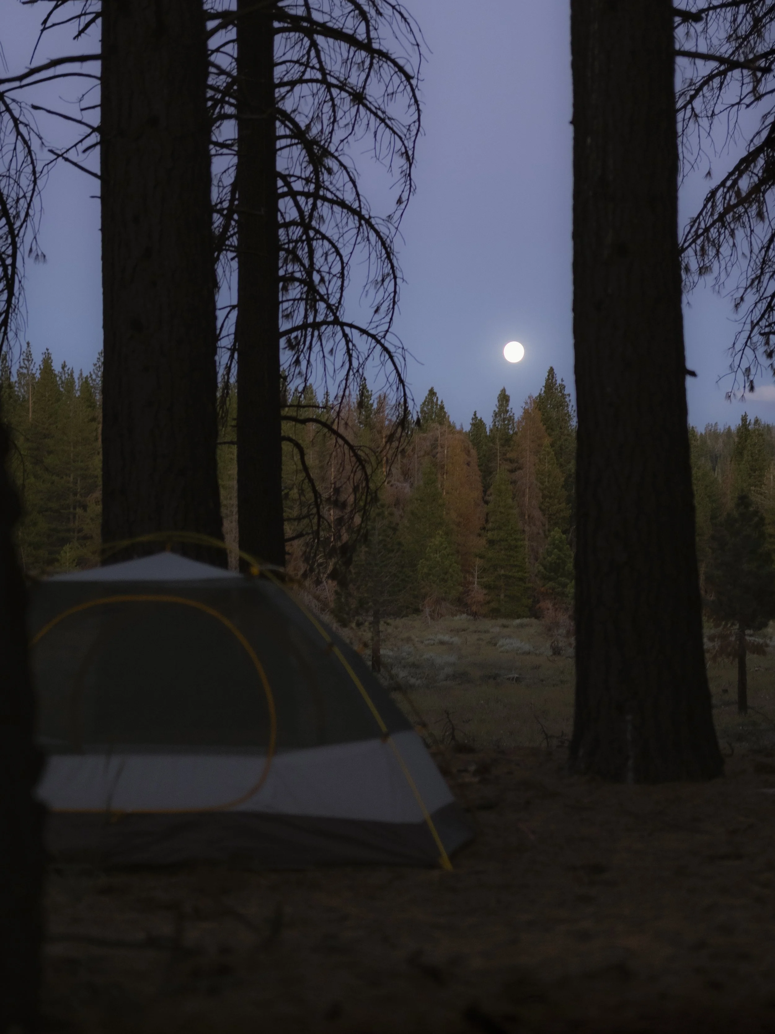 eastsierra-5.jpg