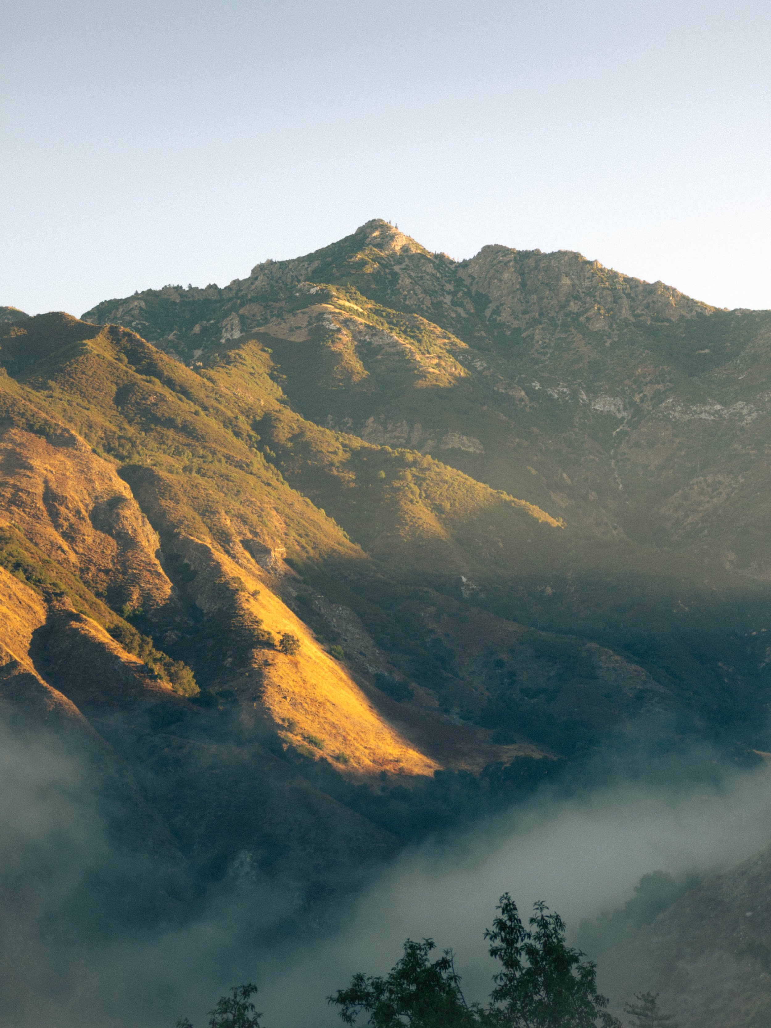 bigsur-2.jpg