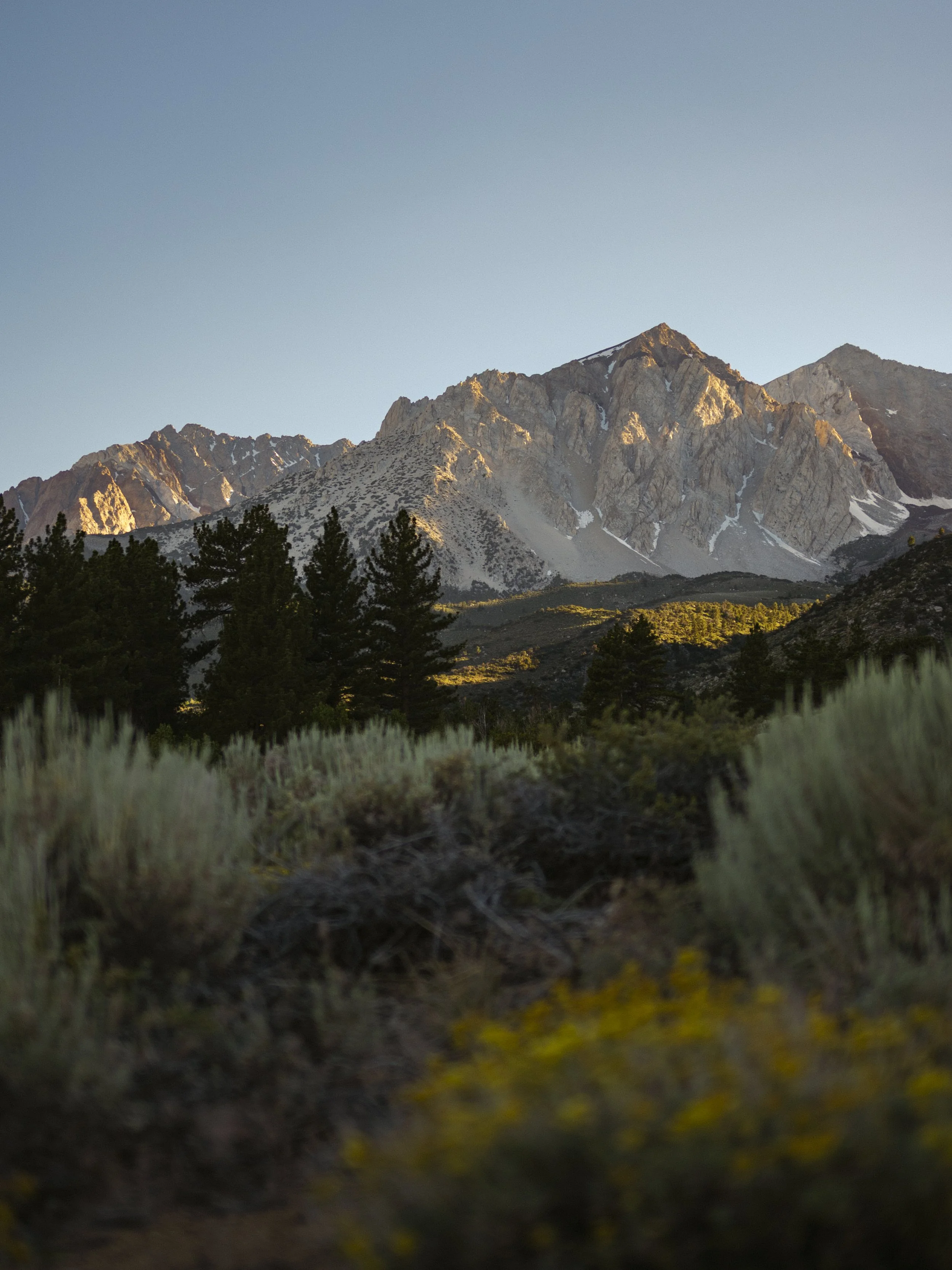 eastsierra-3.jpg