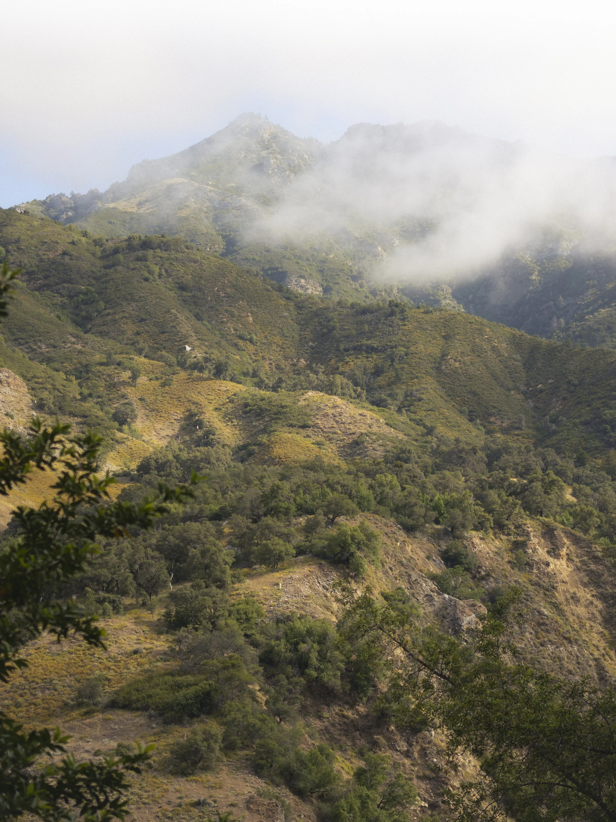 KirkCreek-5.jpg