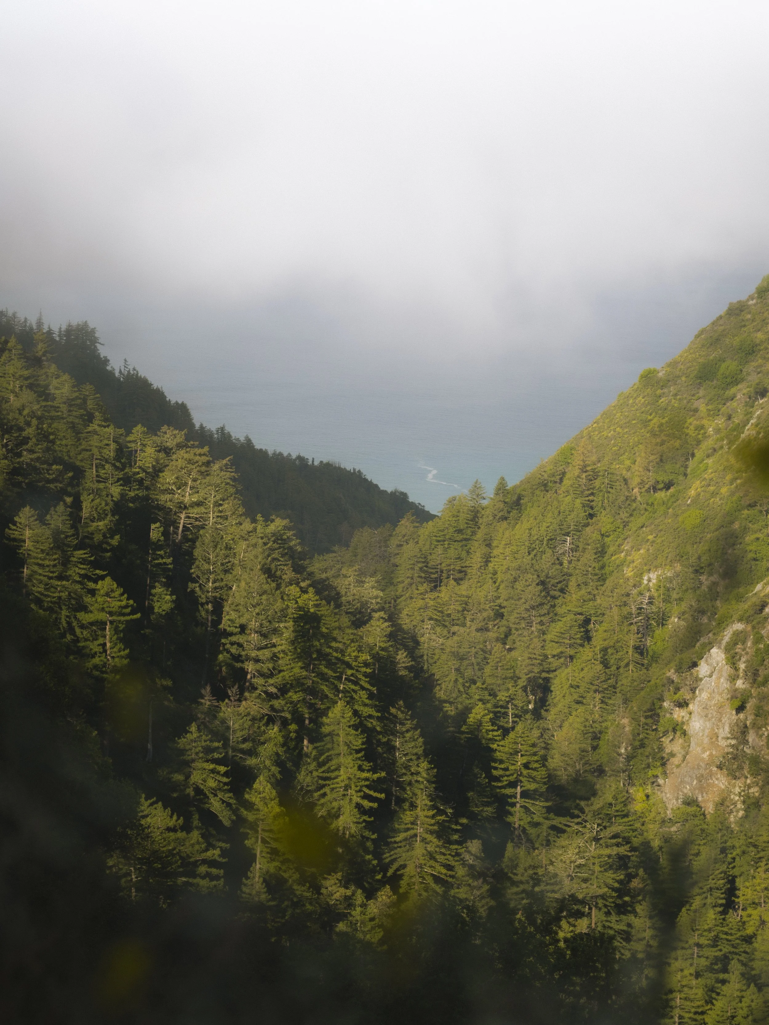 KirkCreek-10.jpg