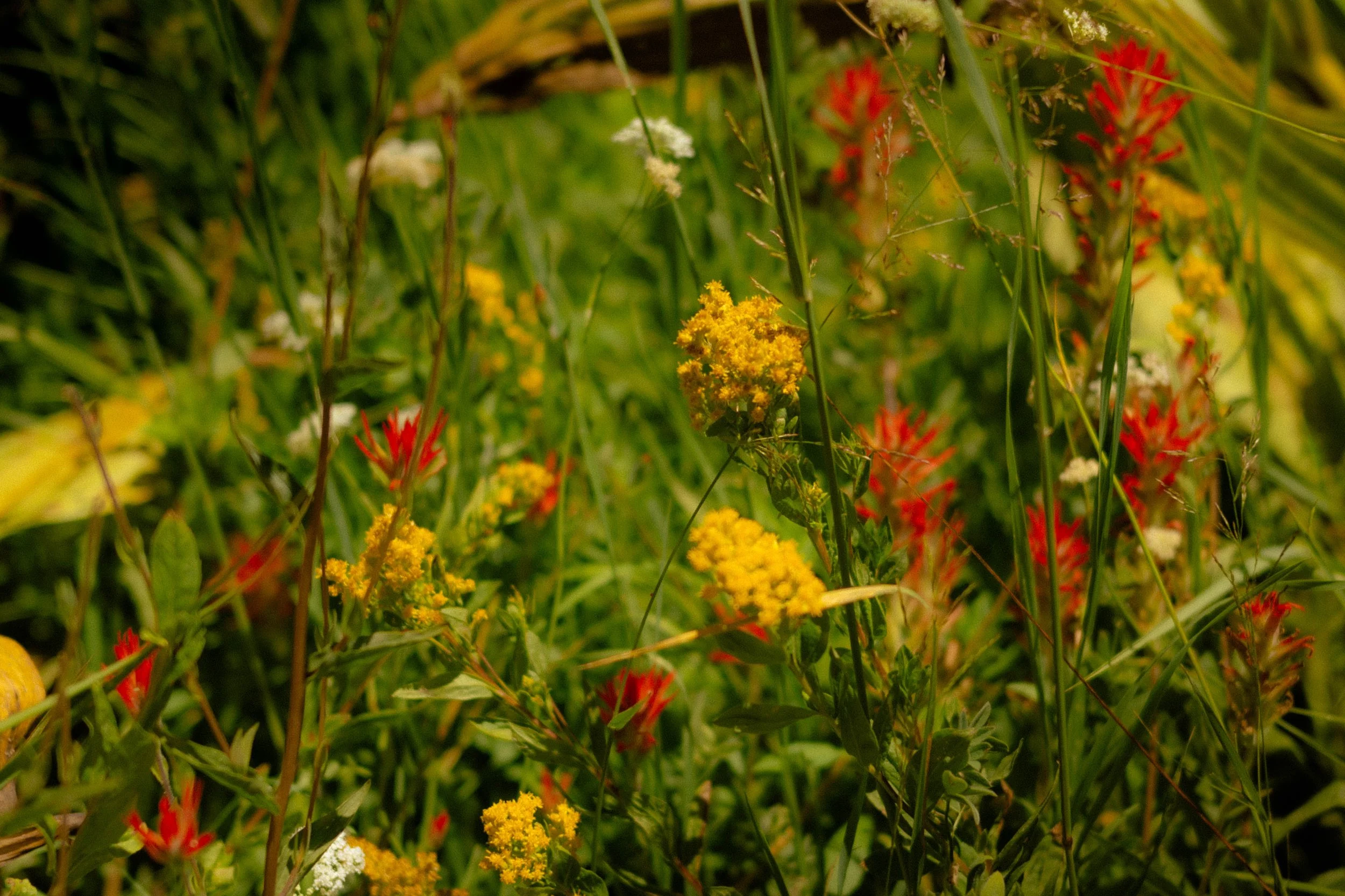 DSC_9262.jpg