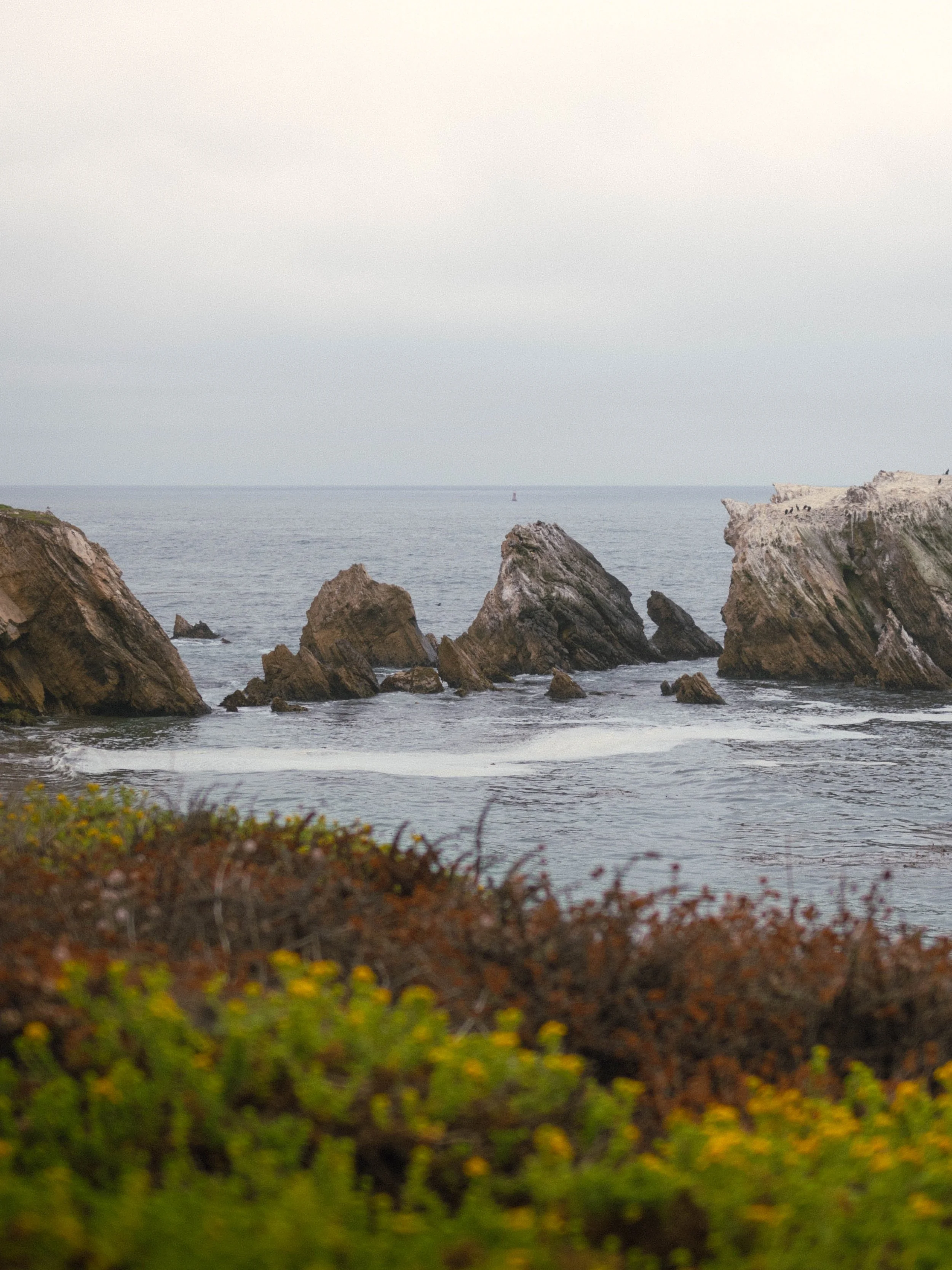 bigsur-8.jpg
