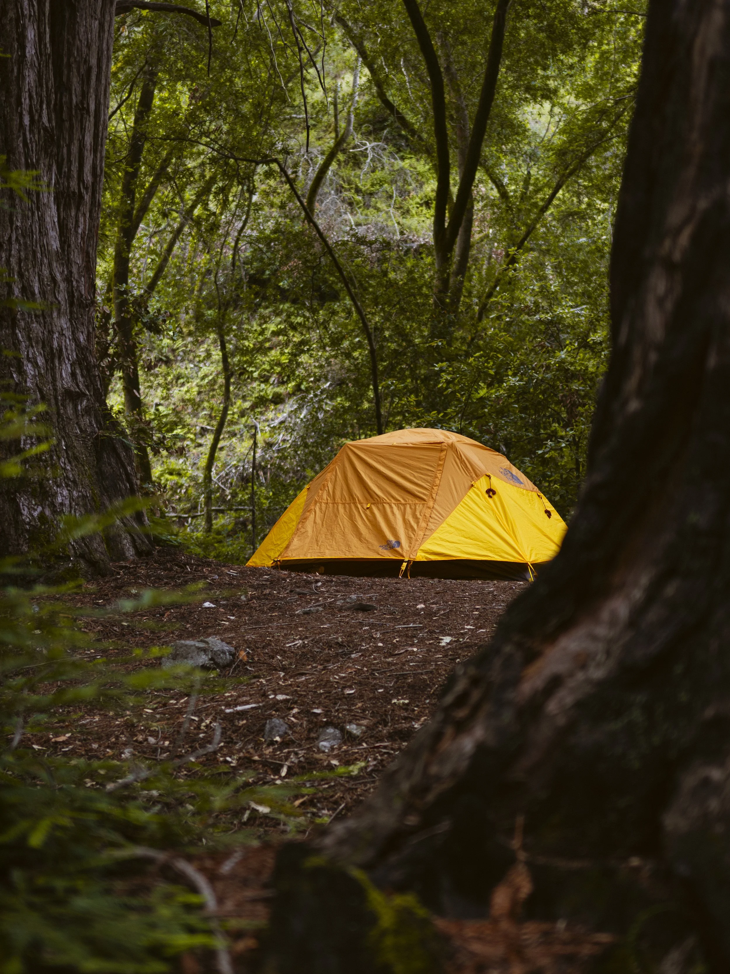 KirkCreek-9.jpg