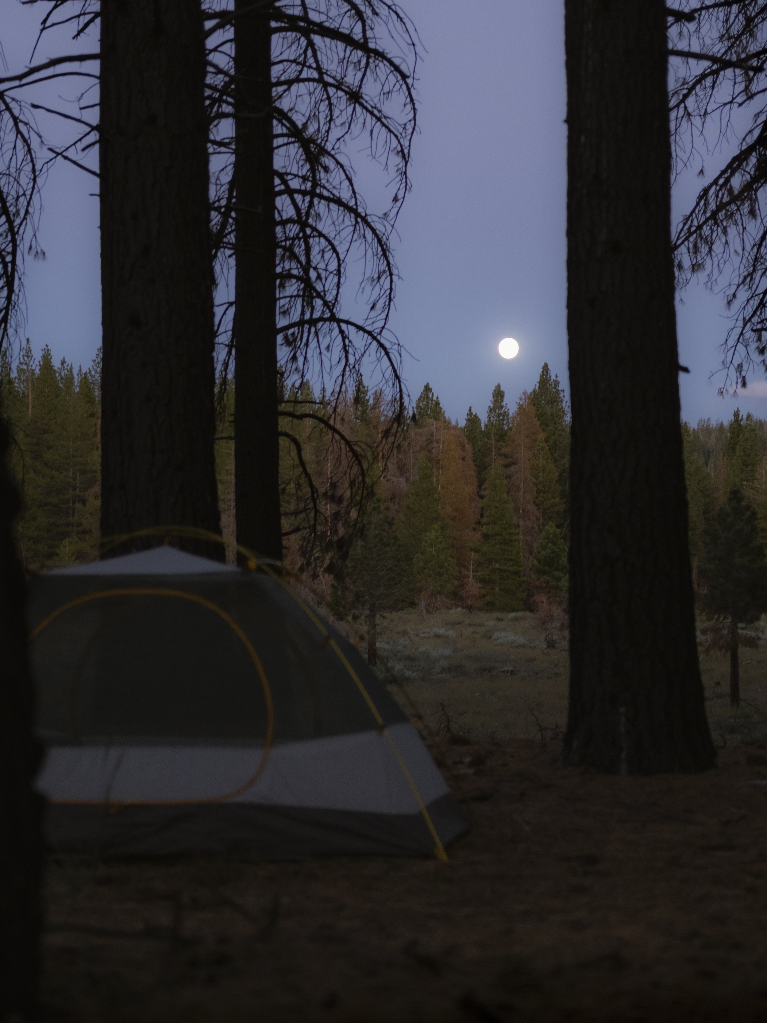 eastsierra-5.jpg