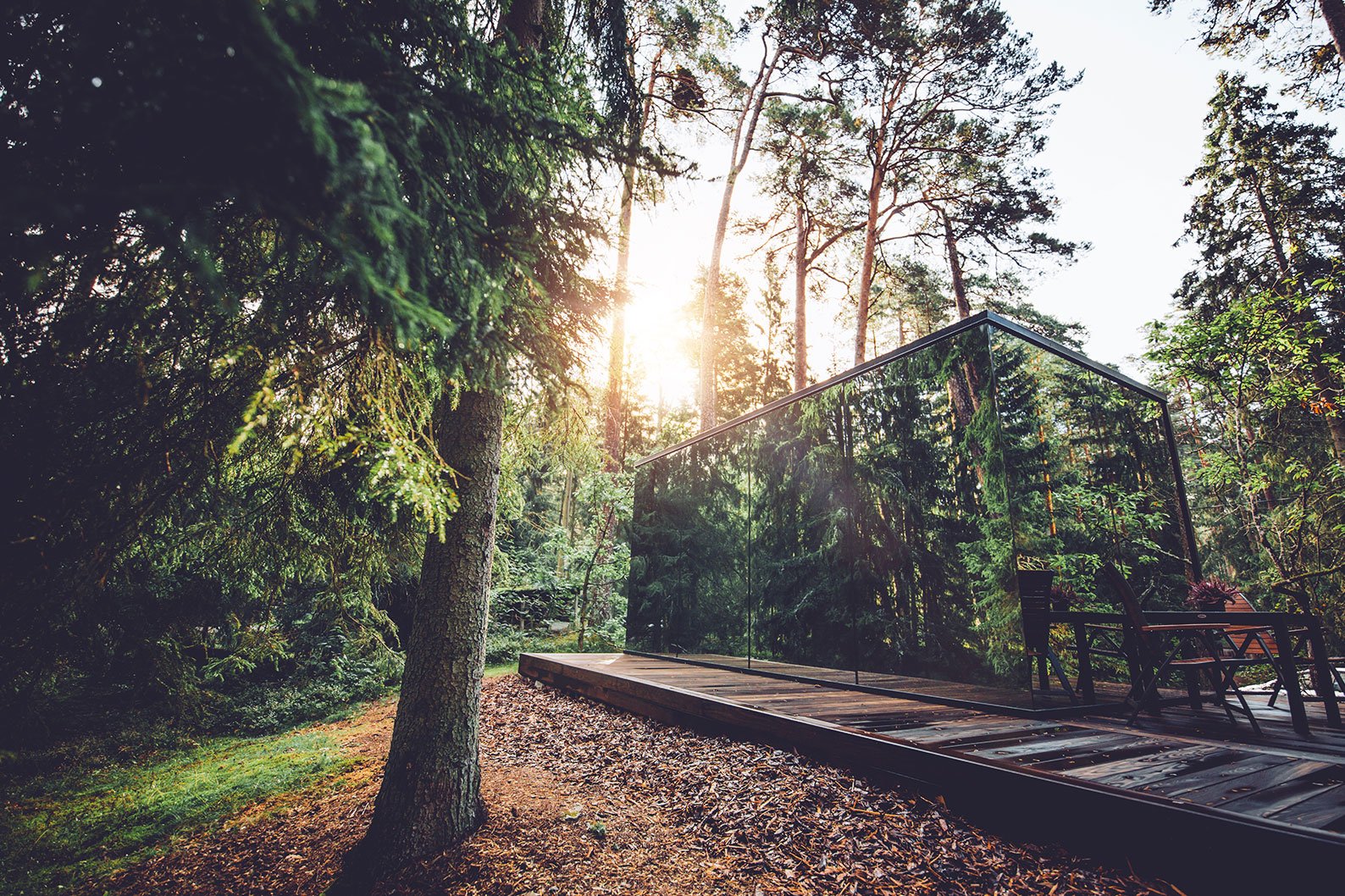 Creekside Glass Cabin Sunrise