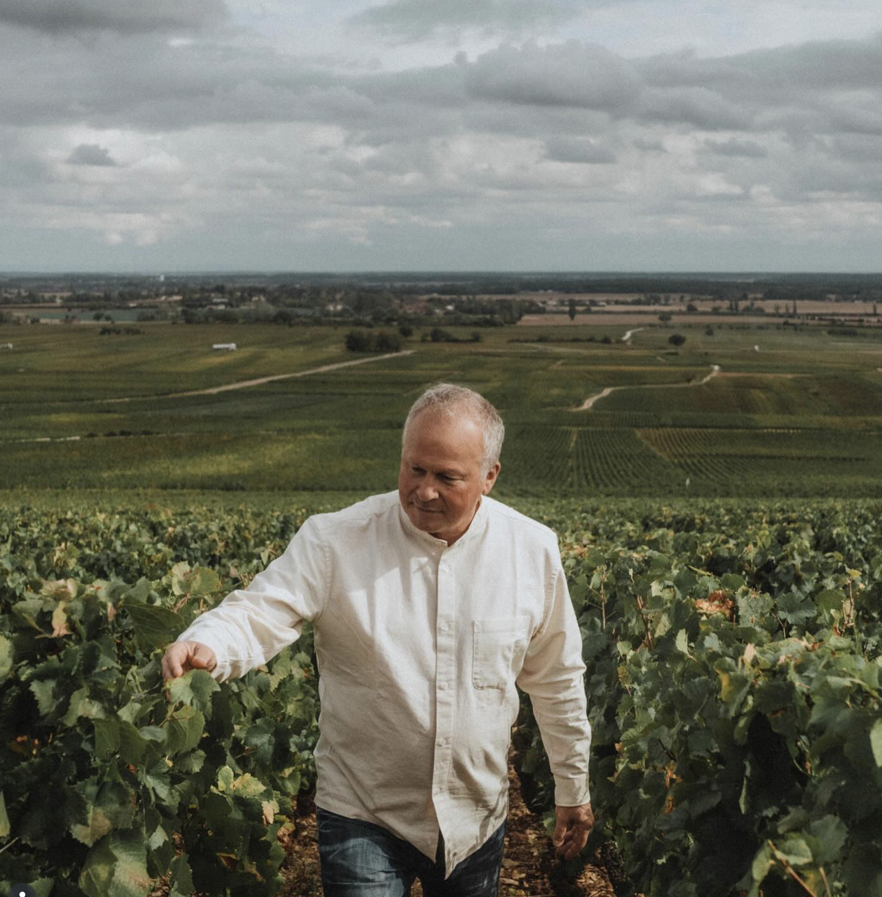 A Weekend with Étienne de Montille of Domaine de Montille and Racines Wine
