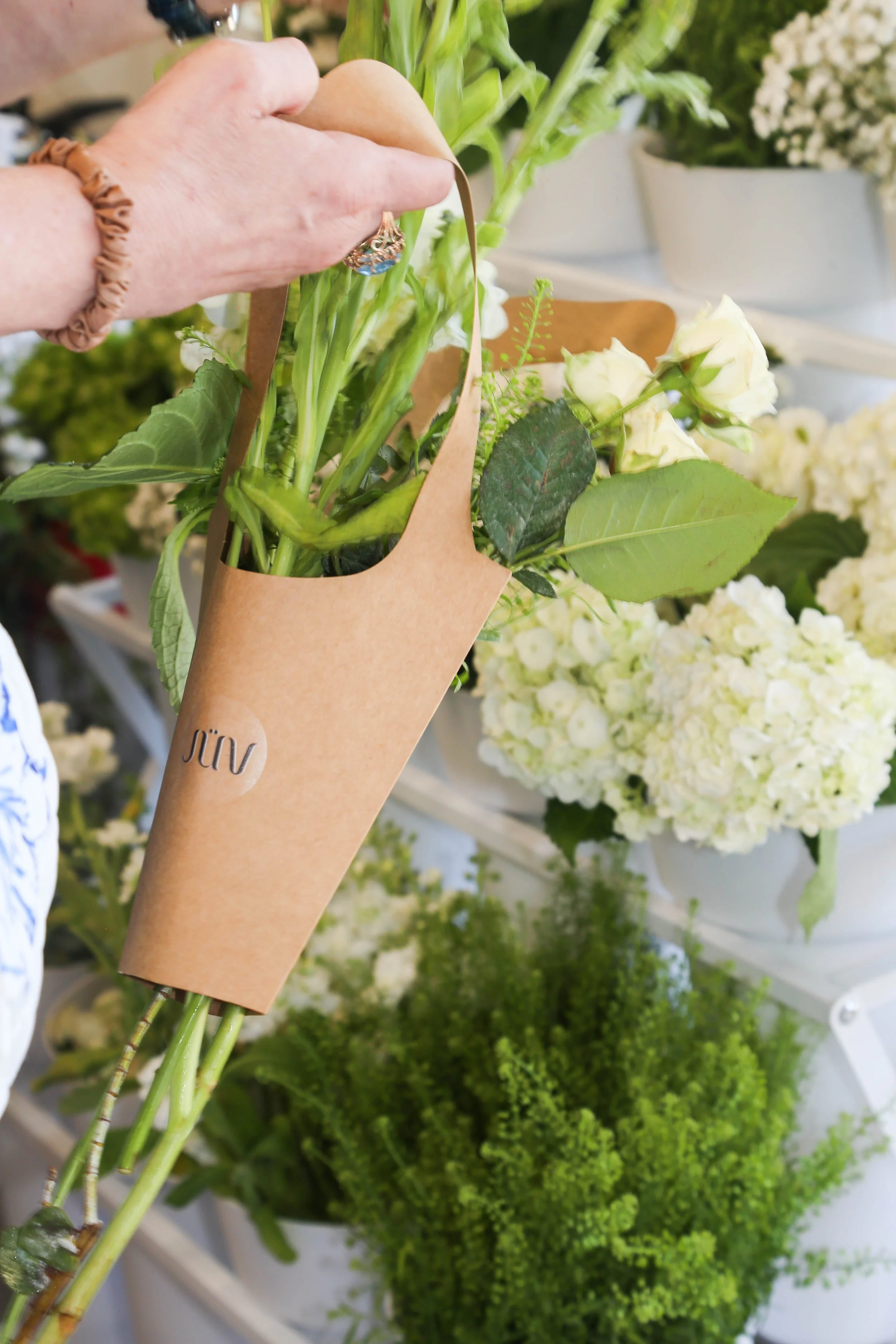 IMG_0389.jpg
