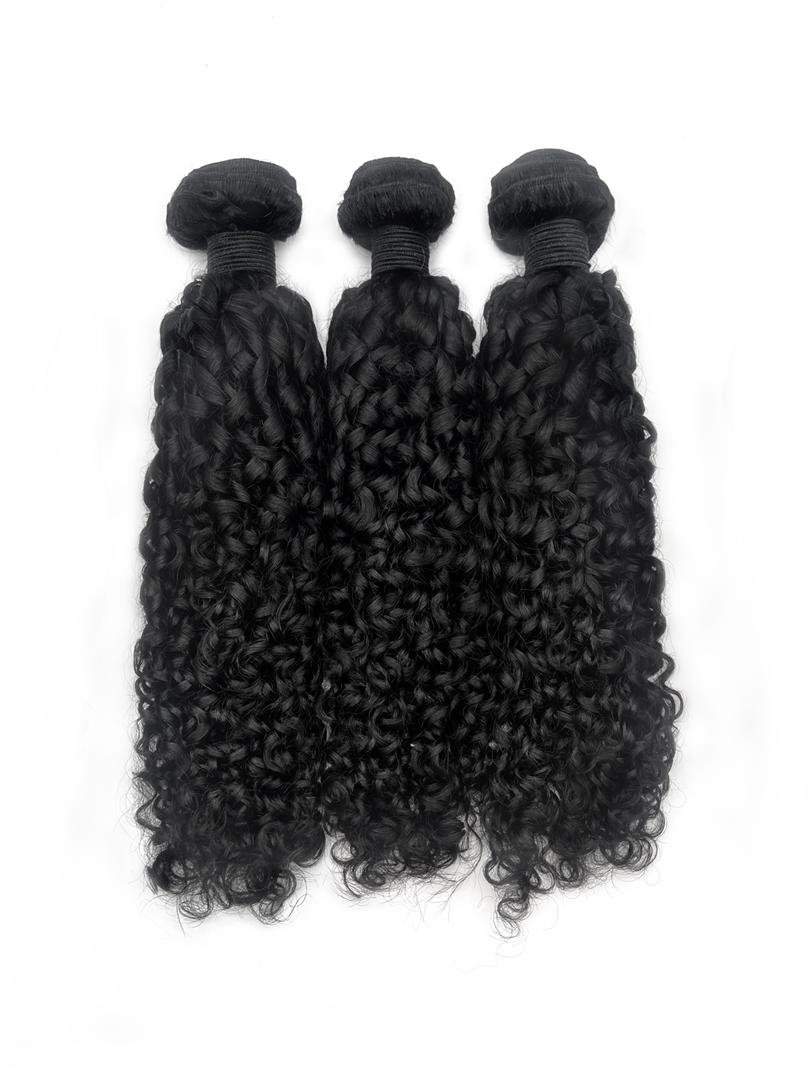 Burmese Curl_D.jpeg