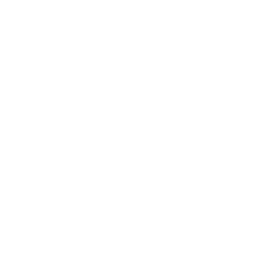 TRIUMPH | Benetti | 2021