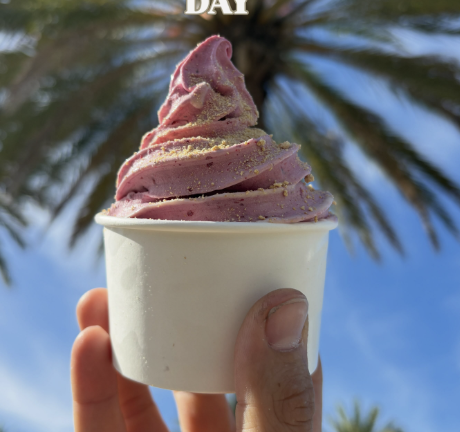  Twist New Zealand Ice Cream
