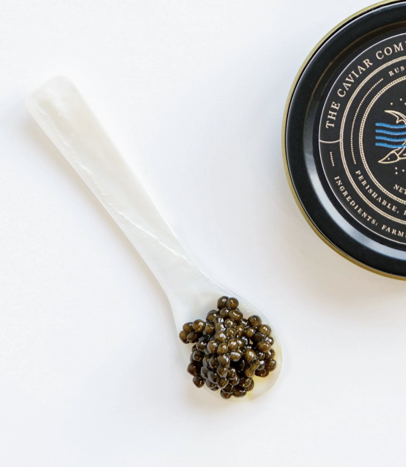 Screenshot 2025-12-03 at 1.54.37 PM.png