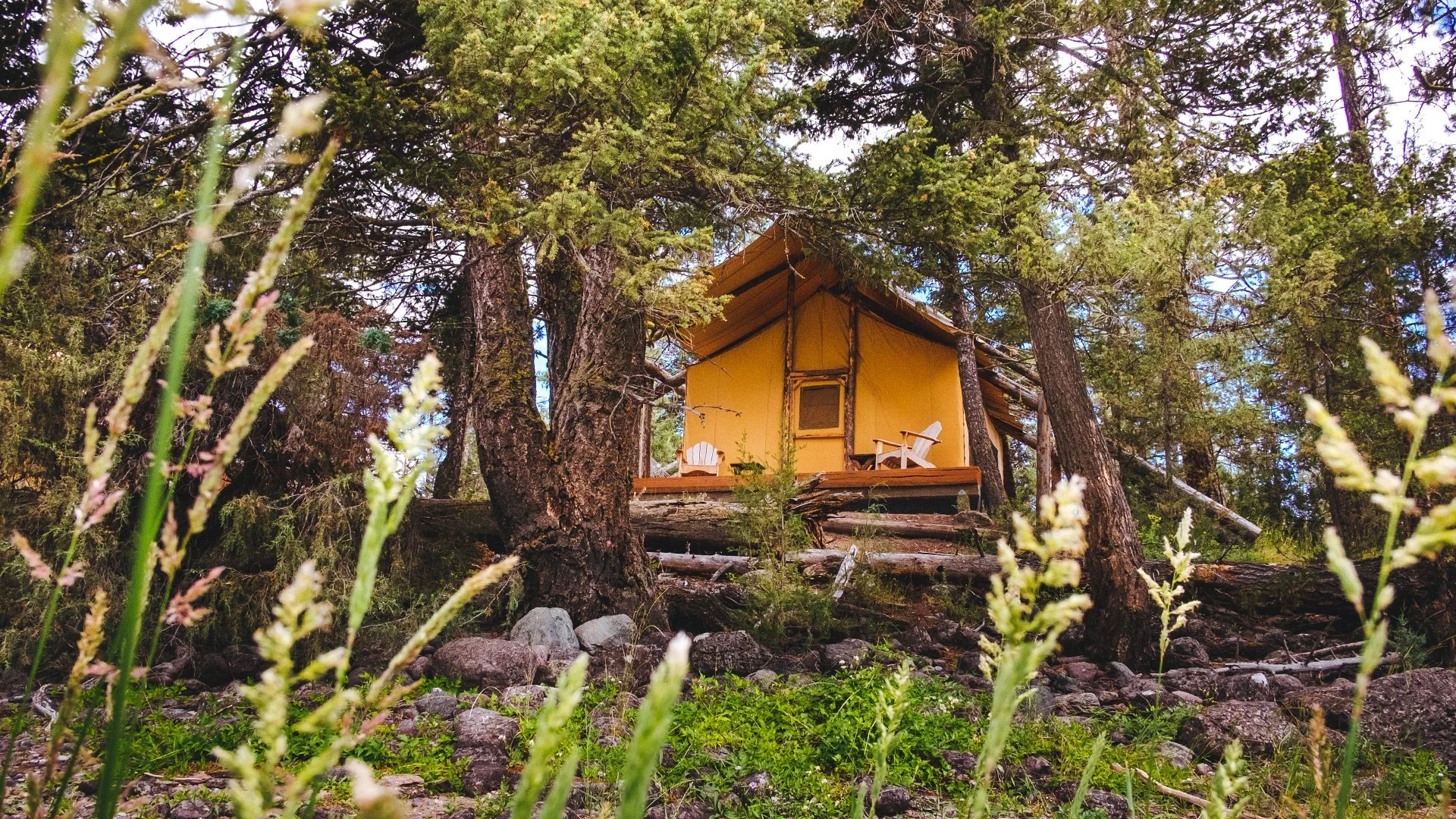 Glamping