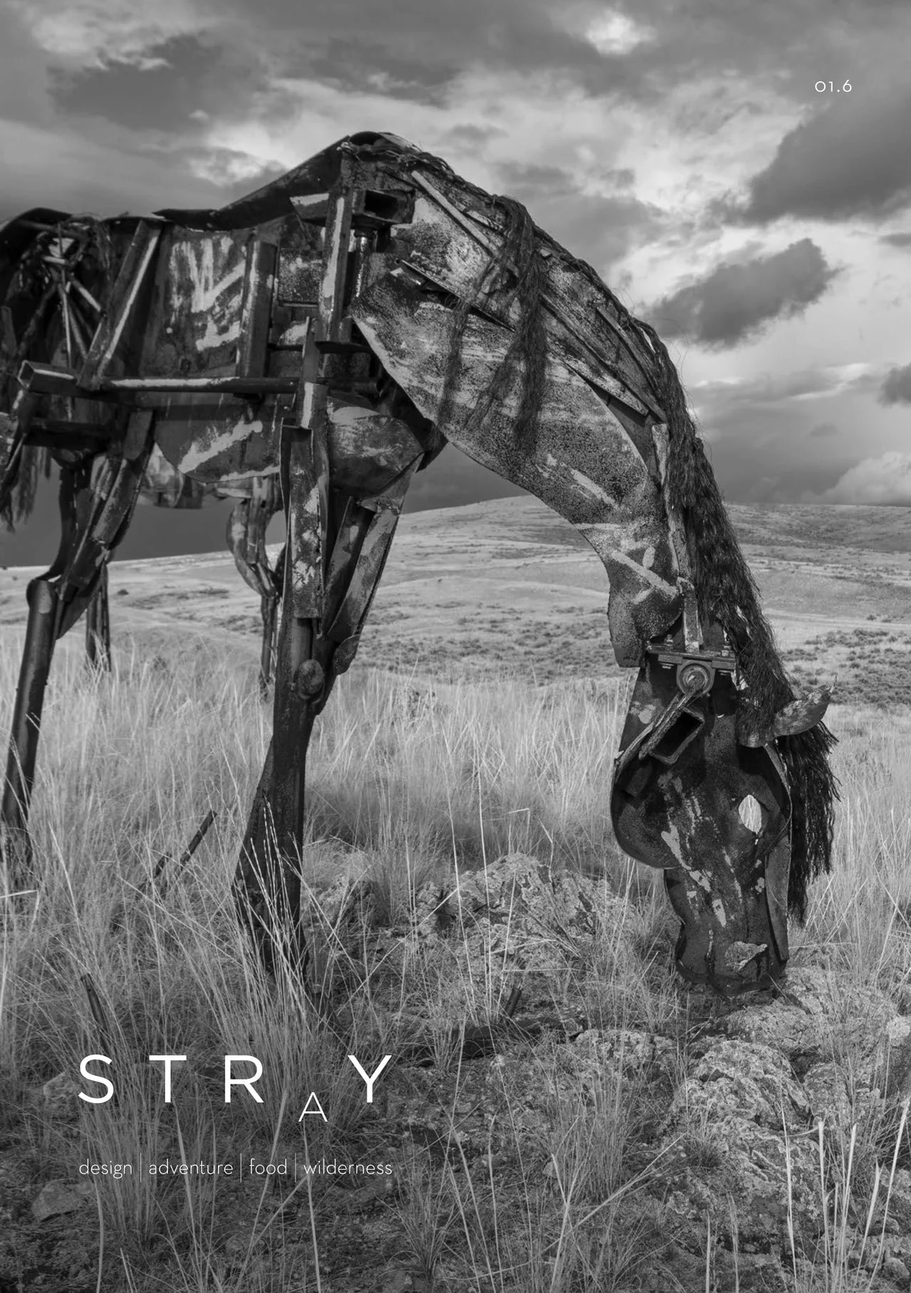 Stray-Magazine_Issue-6-1.jpg