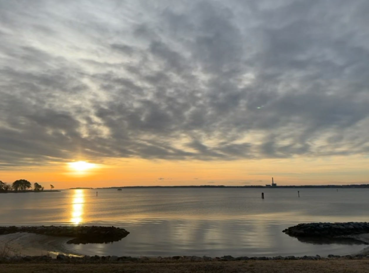 Soul-o time blog. A foggy scene at a lake or ocean with a silhouette of a bench and a bird on the grass, and a faintly visible sailboat in the water.