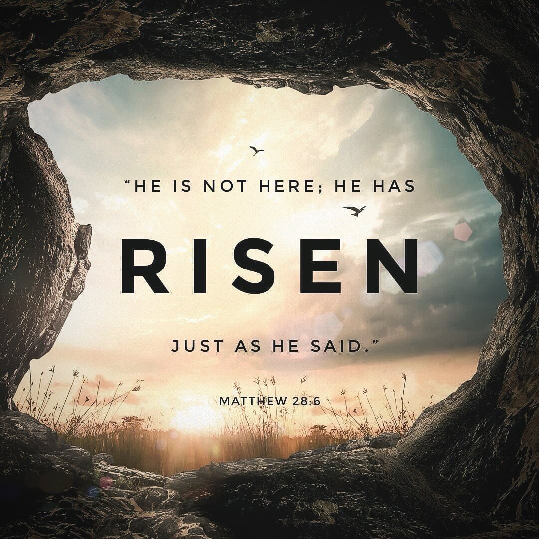 Today we celebrate the resurrection of our Savior. It&rsquo;s in the resurrection that our faith is confirmed and our hope is renewed. Happy Easter everyone.

#sundaybrief #Heisrisen #easter #eastersunday #Bible #devotion