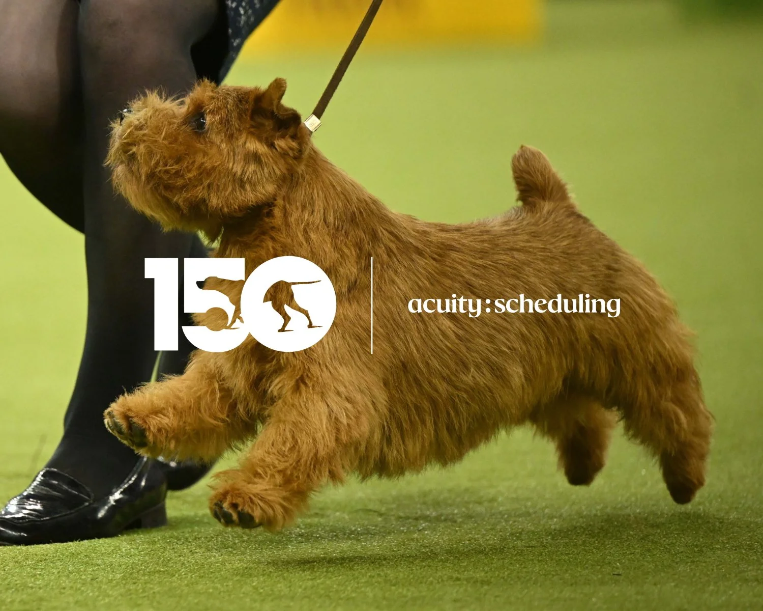 3 Ways Westminster Avoided Long Lines and Sold Out Experiences With Acuity