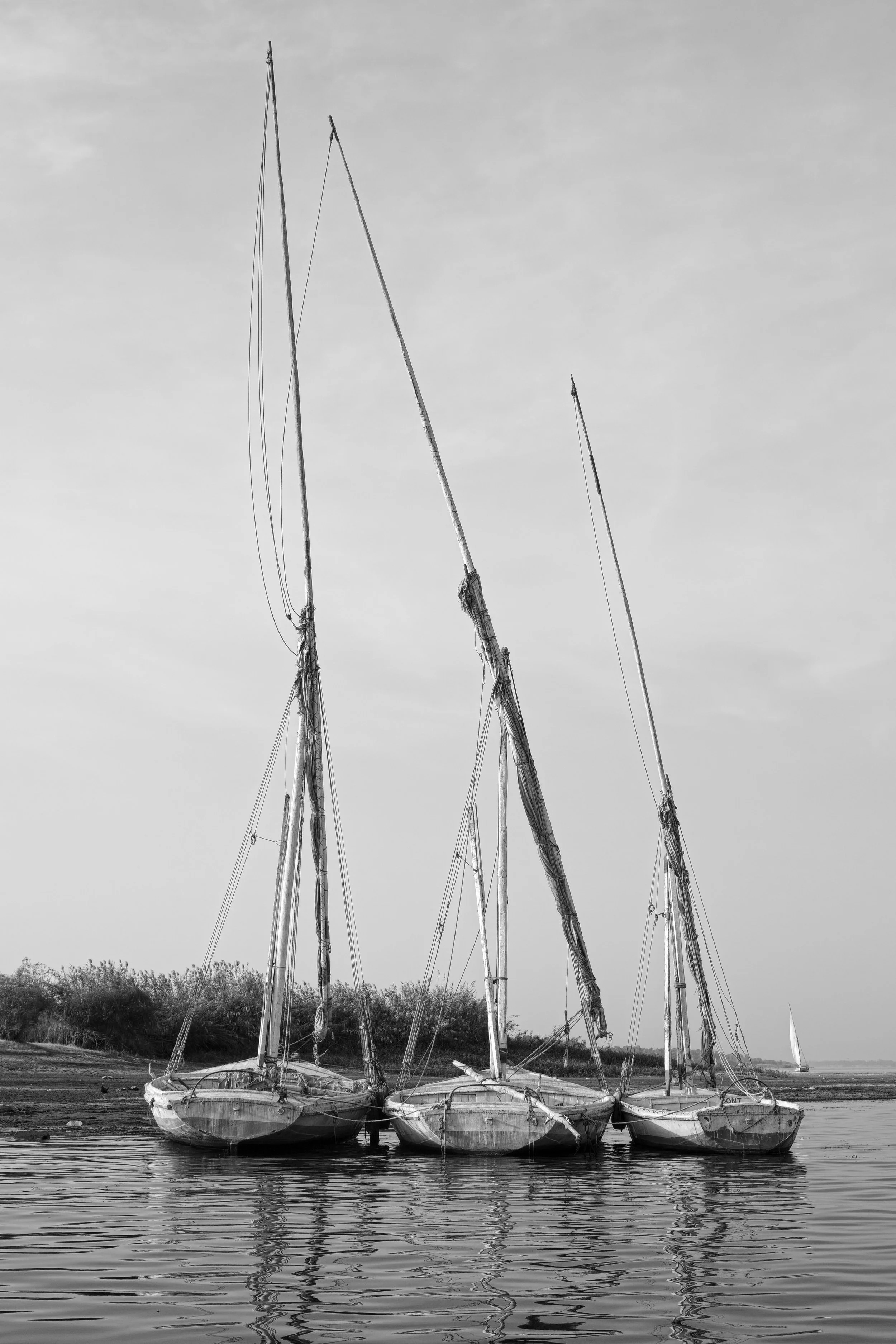 Egypt December 2017_Upper Egypt_Fuji_90.jpg