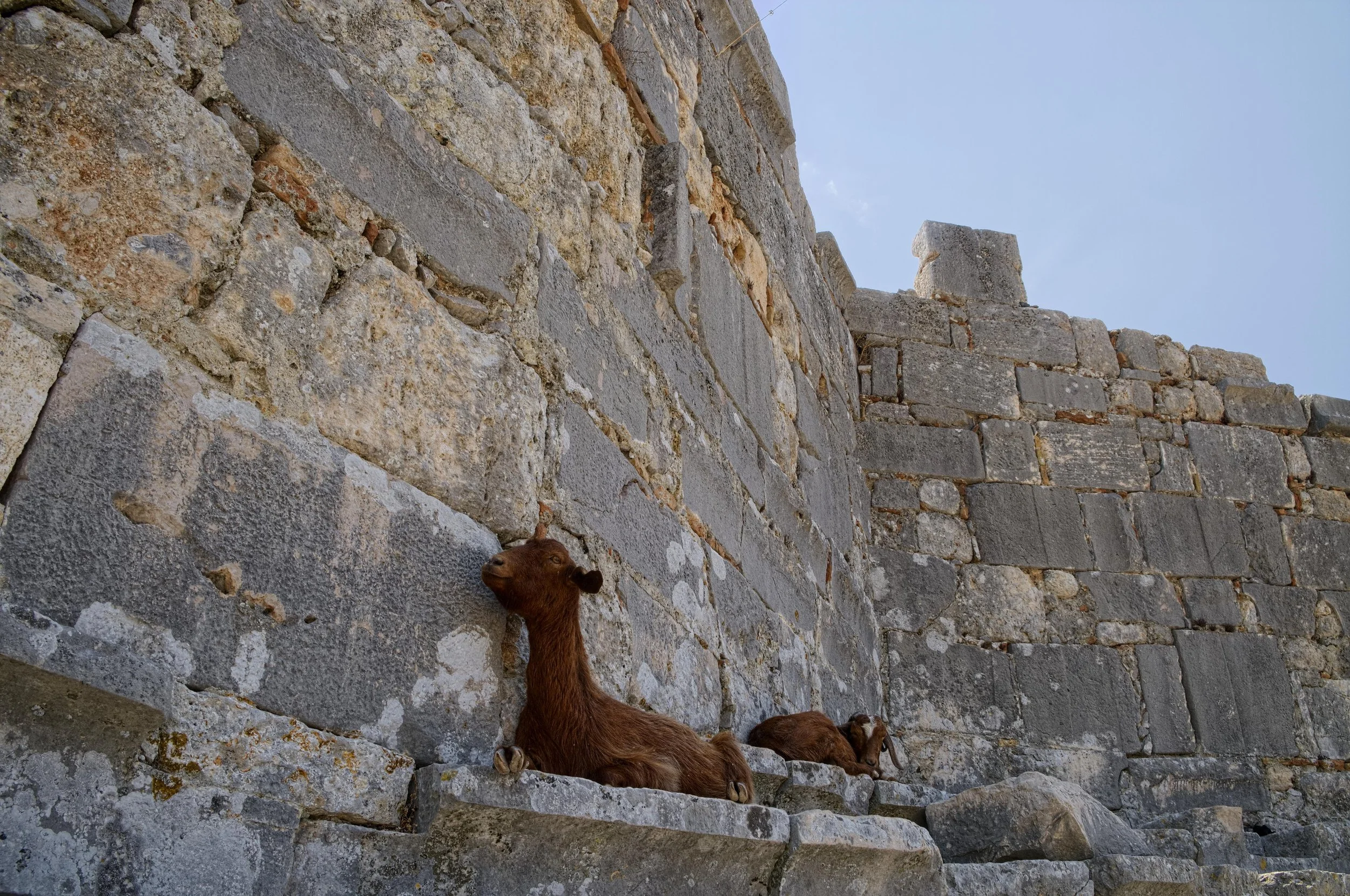 Turkey 2015_2_16.jpg