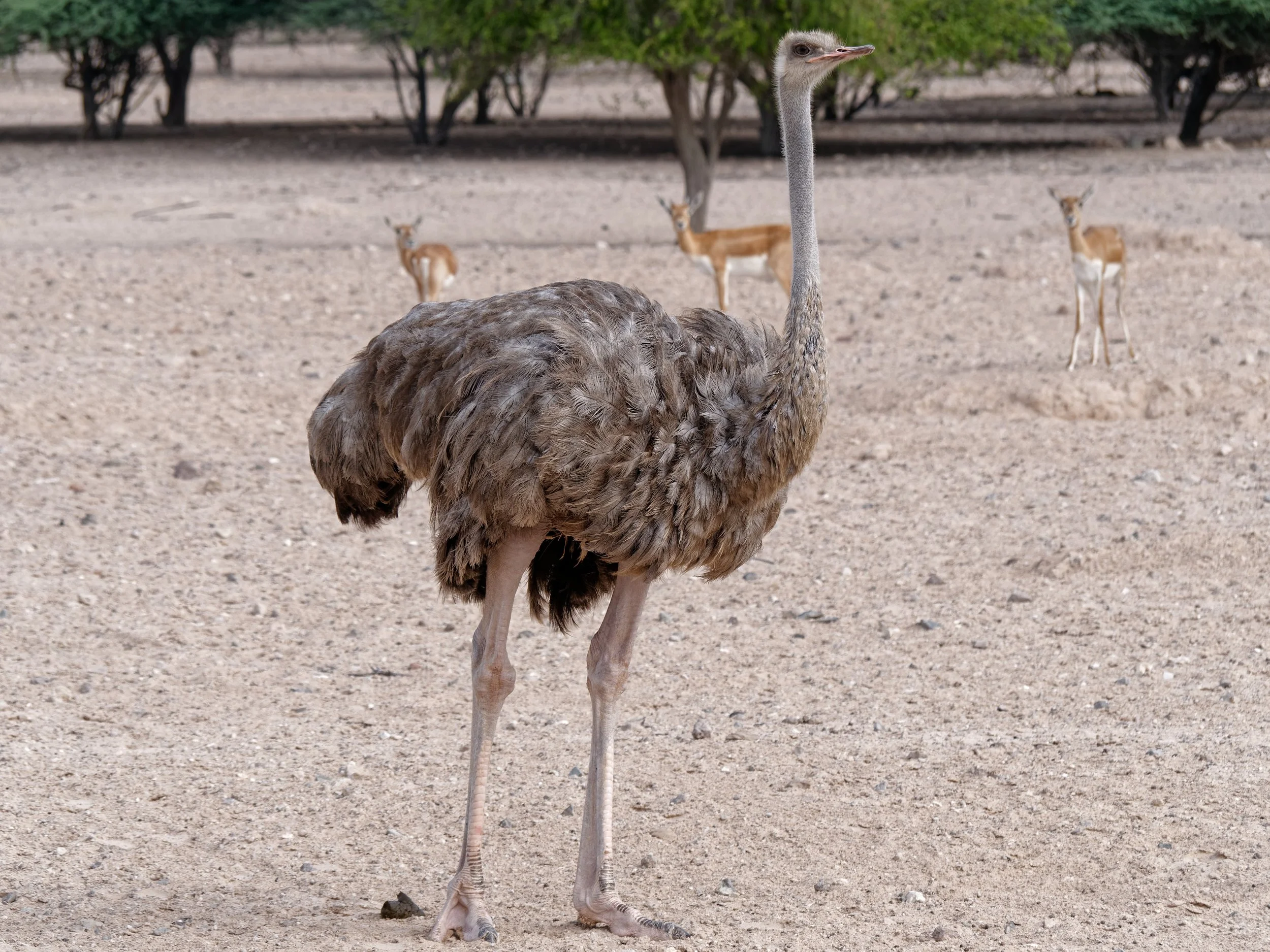 P1001332Nov 2023_Cruise_38.jpg