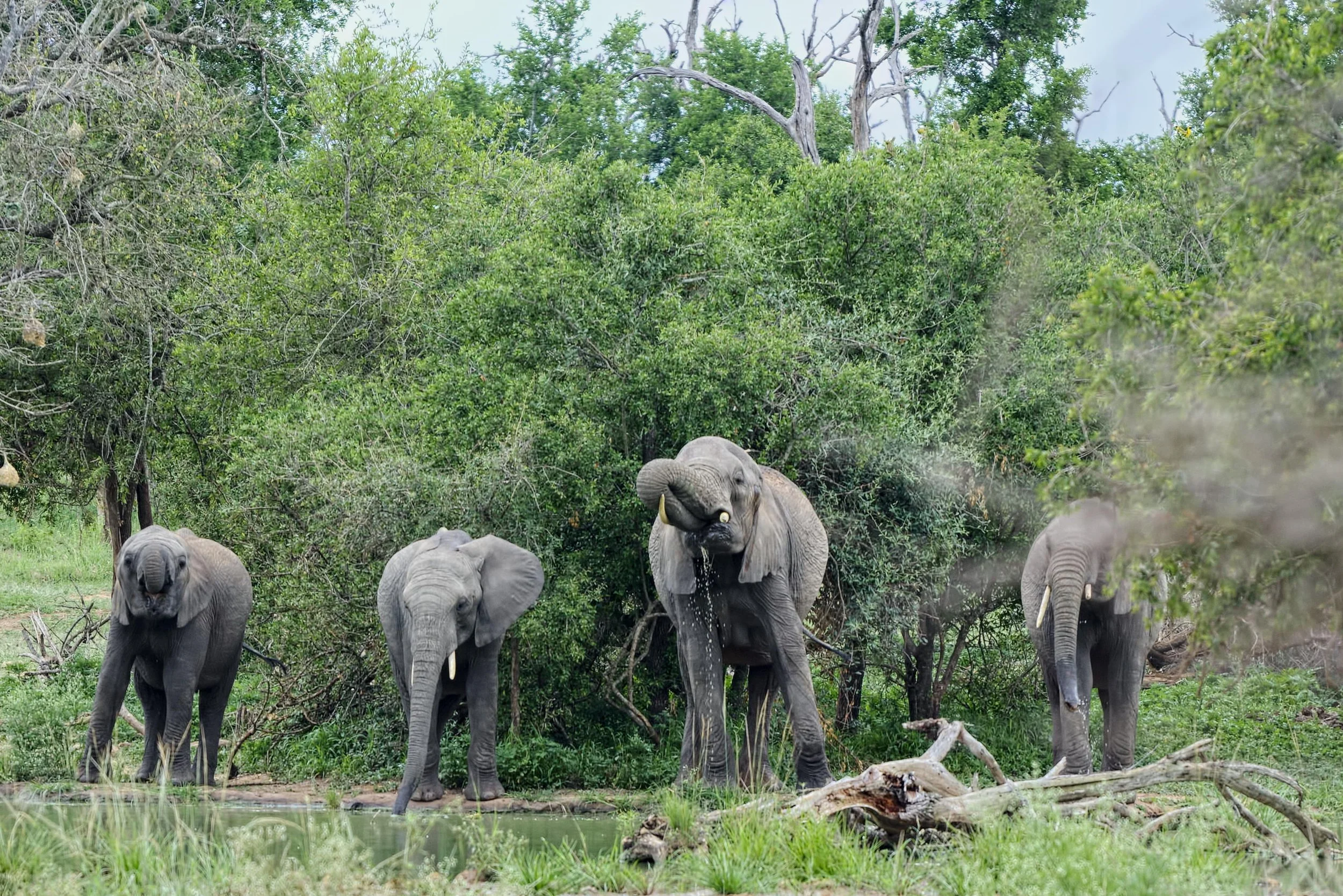 Africa_Jan2015_13.jpg
