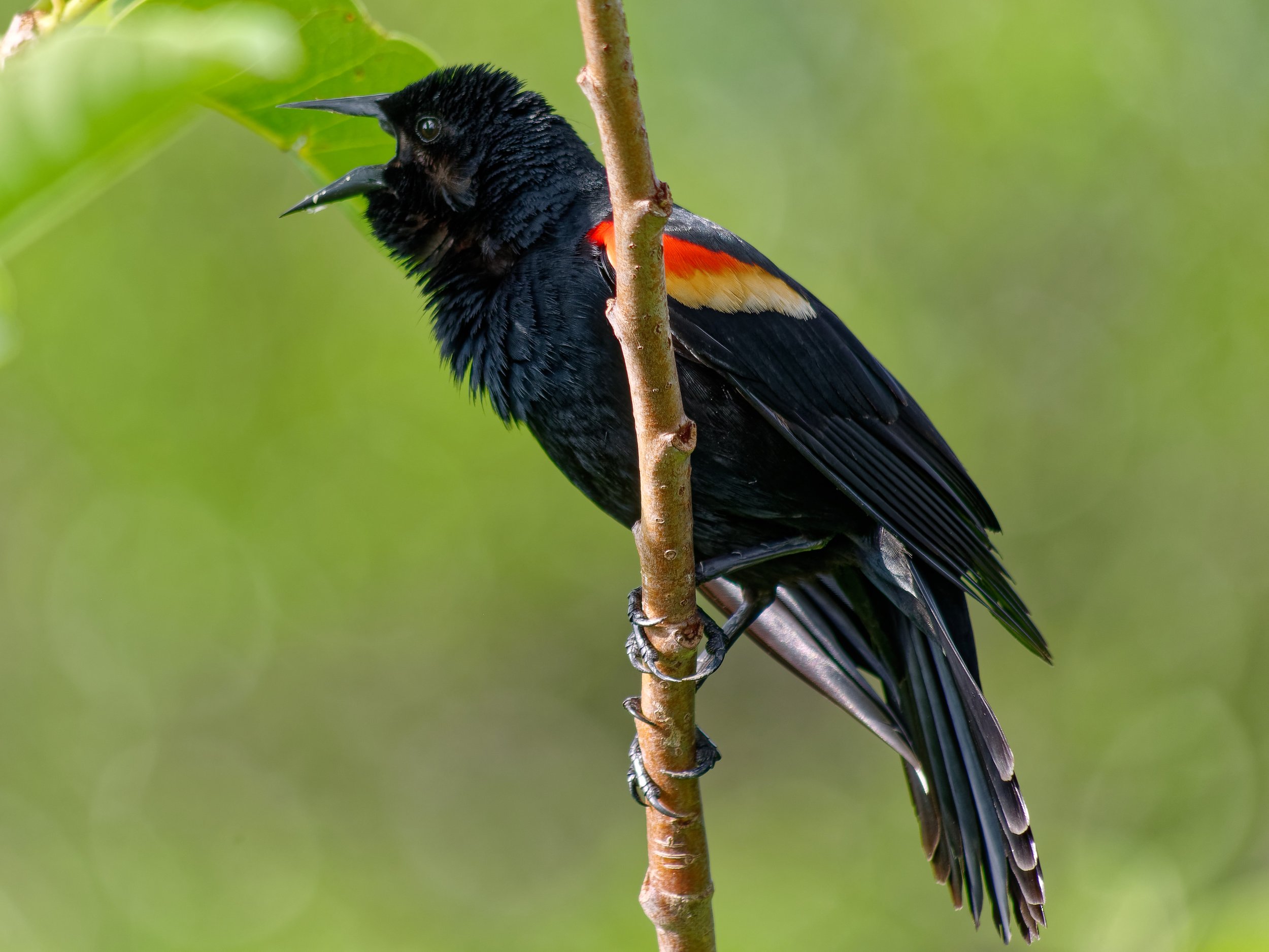 P1004318April 2022_G9_42_DxO.jpg