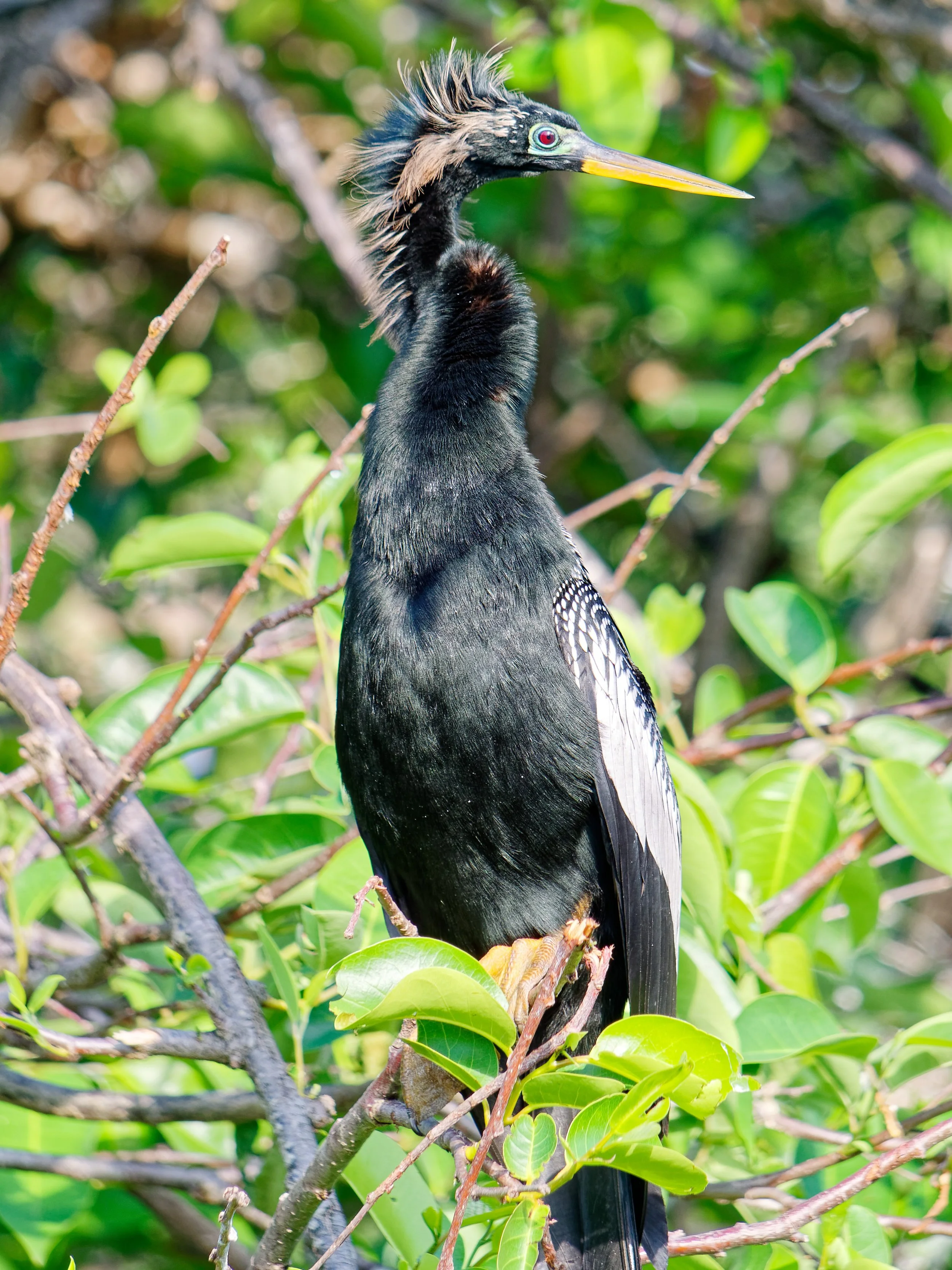 P1004683April 2022_G9_84_DxO.jpg