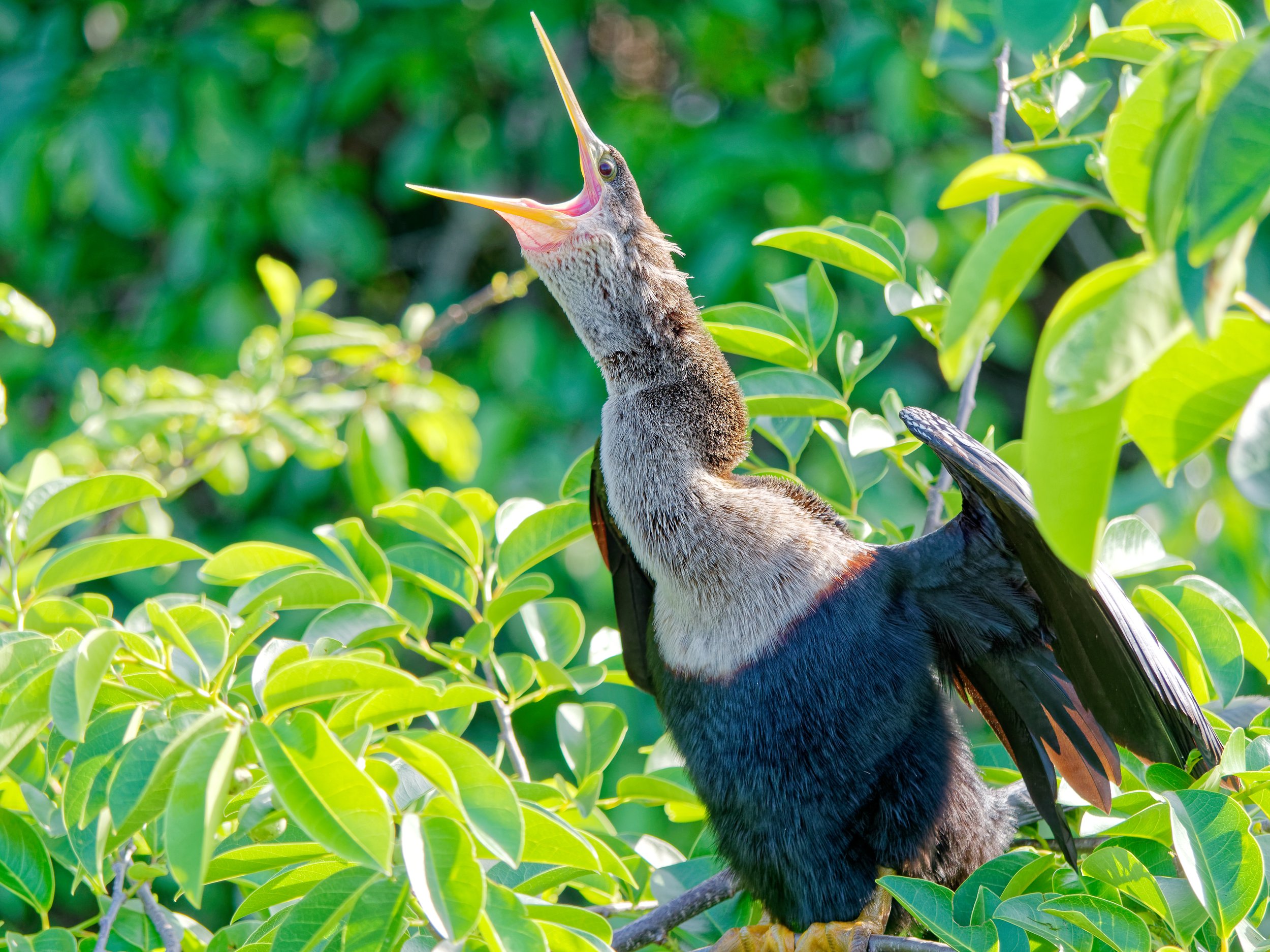 P1004696April 2022_G9_87_DxO.jpg