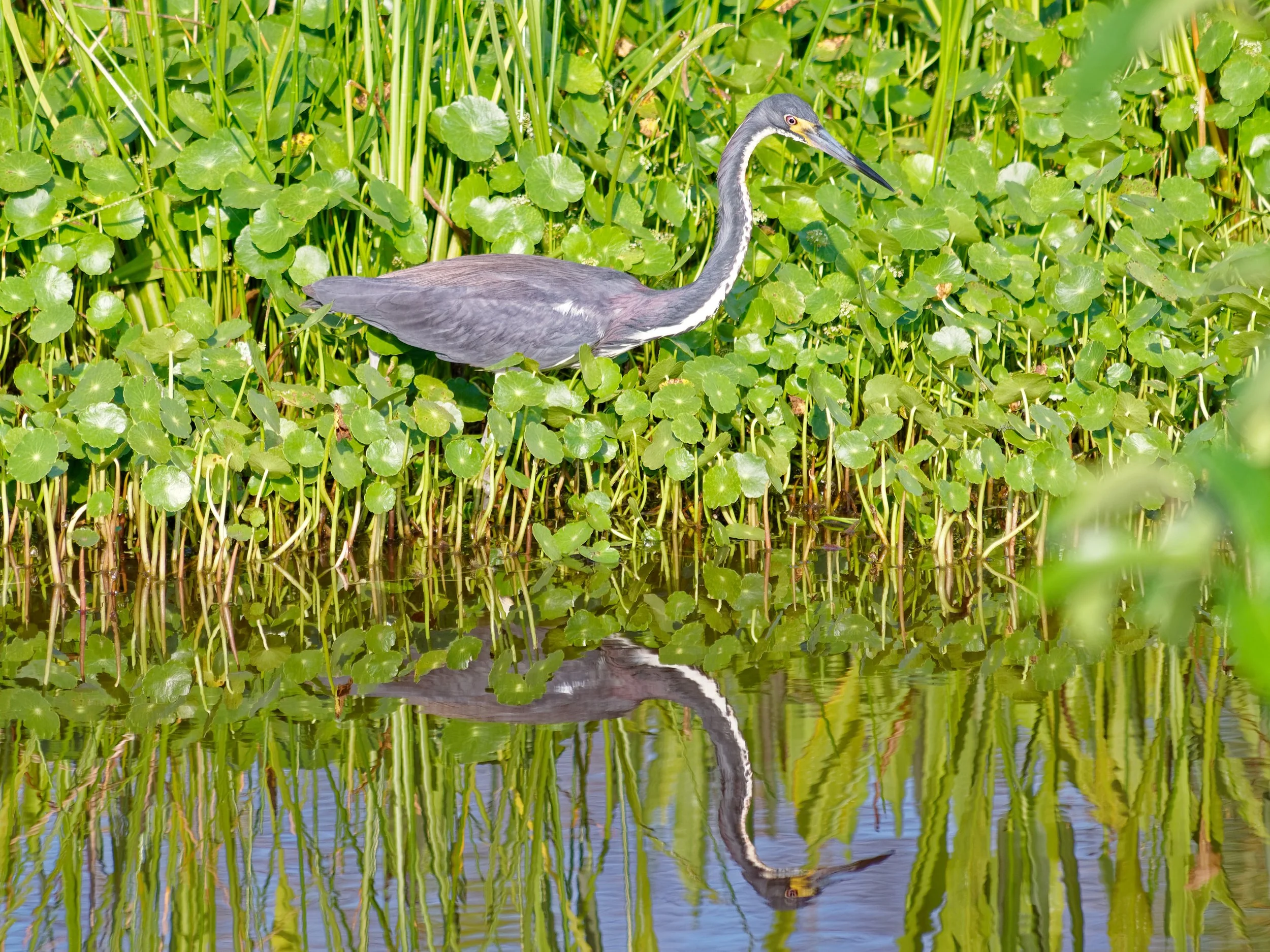 P1004758April 2022_G9_90_DxO.jpg