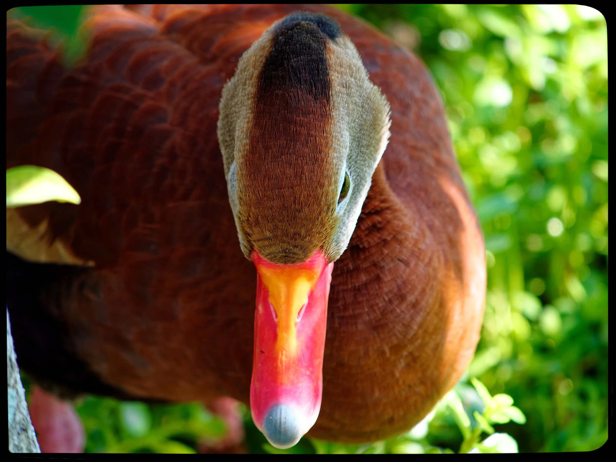 P1015289April 2022_G9_126_DxO.jpg