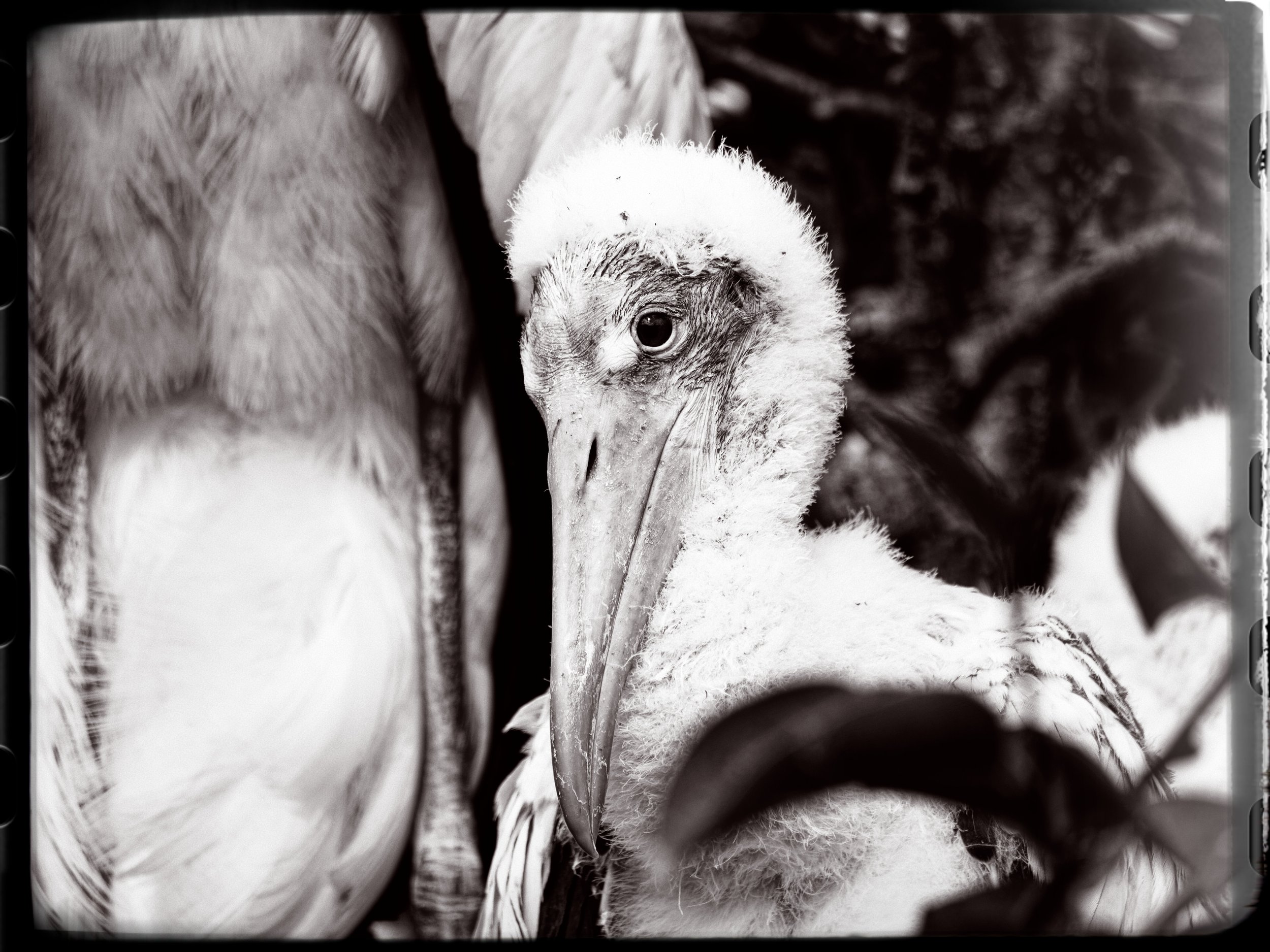 P1015527April 2022_G9_168_DxO.jpg