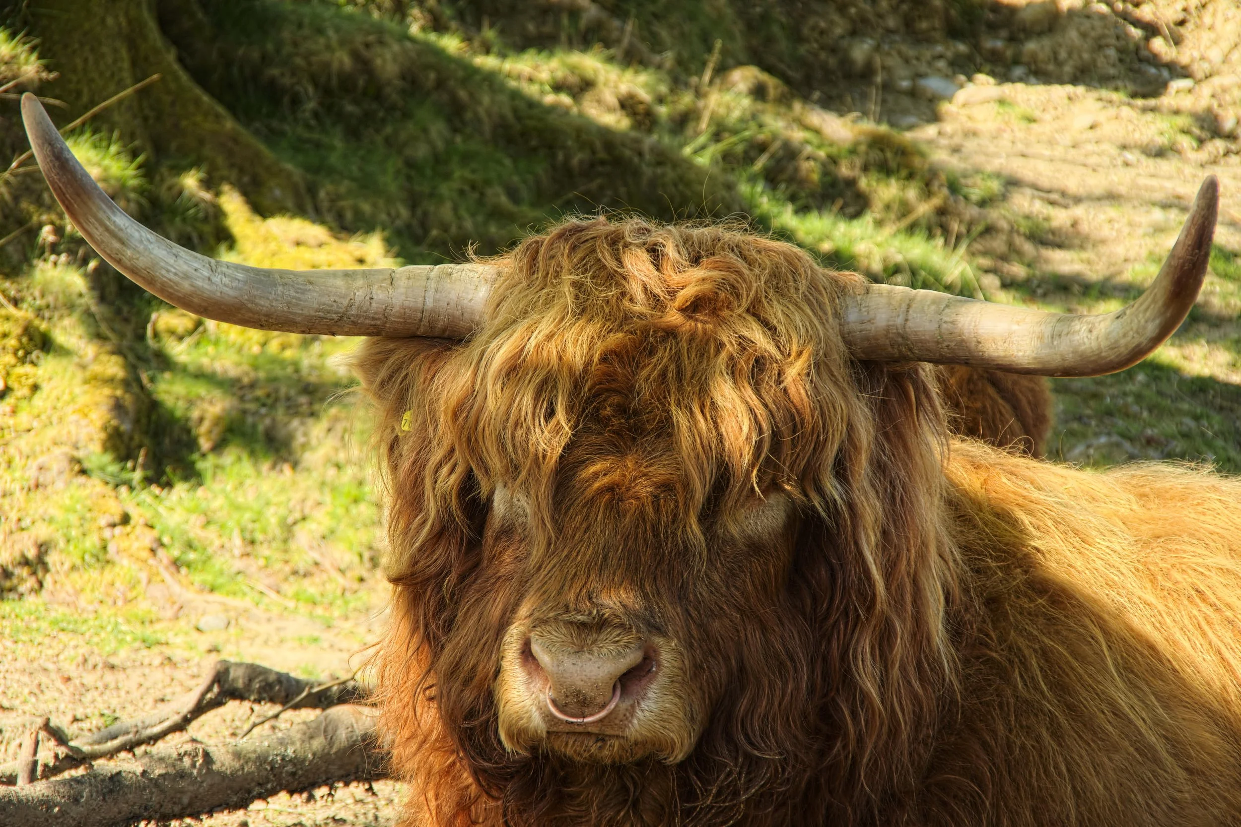 Jack_Daddy May2106_42.jpg