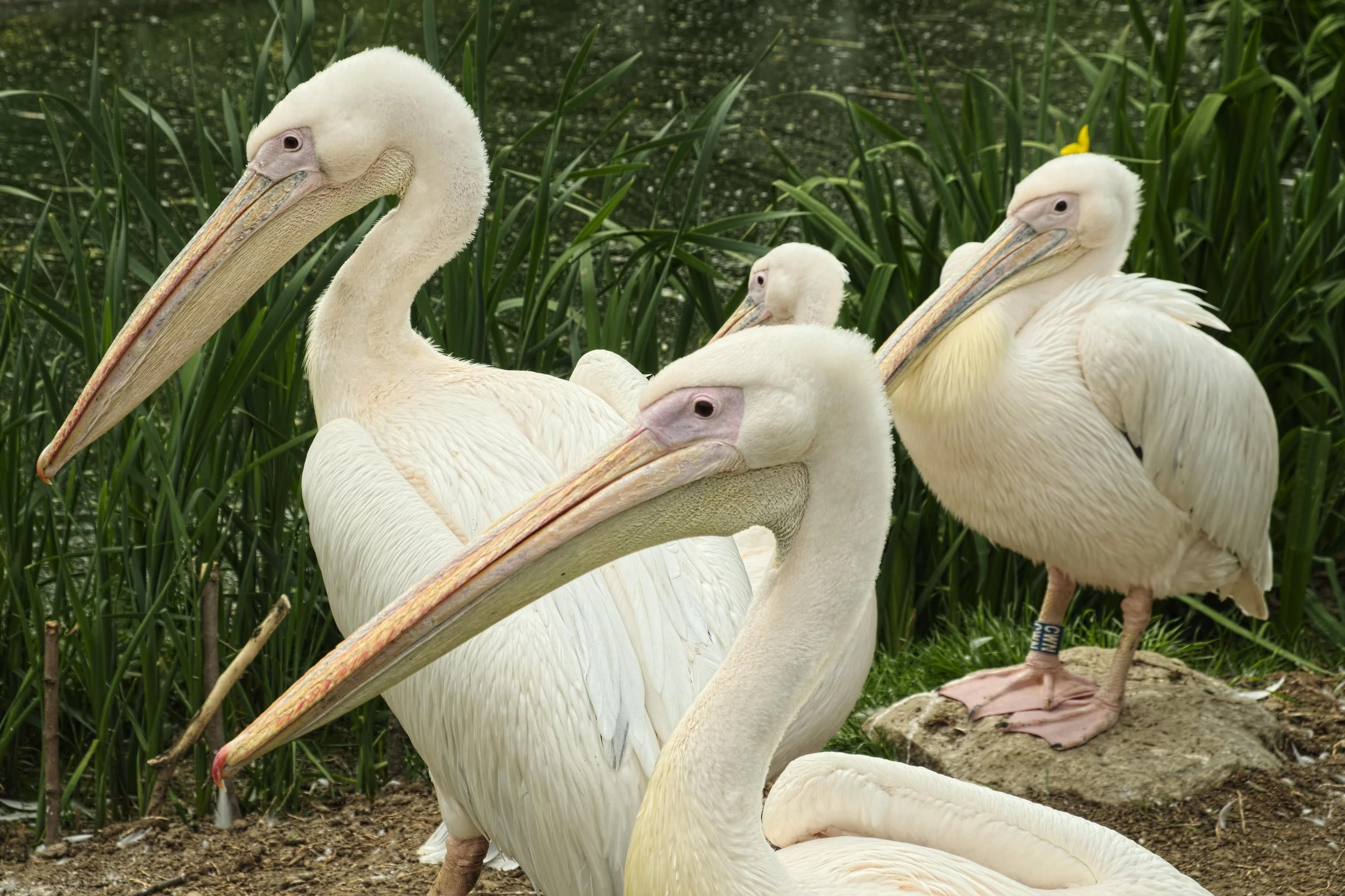 Jack_Daddy May2106_155.jpg