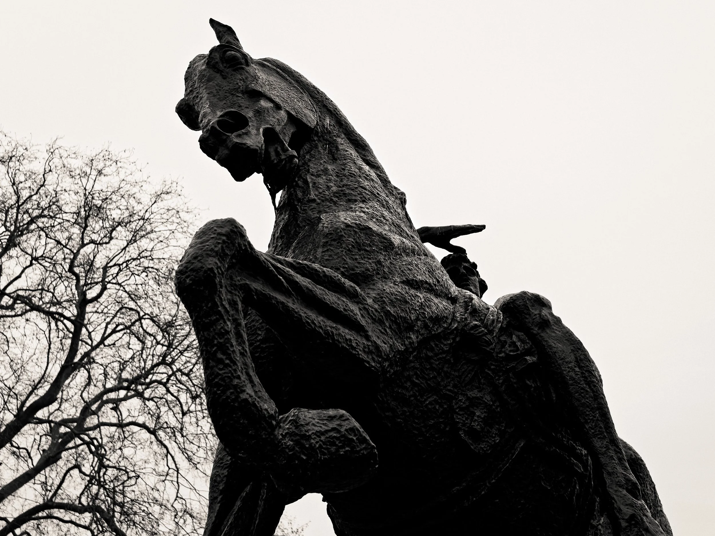 P1003804London Dec 2021_1_DxO.jpg