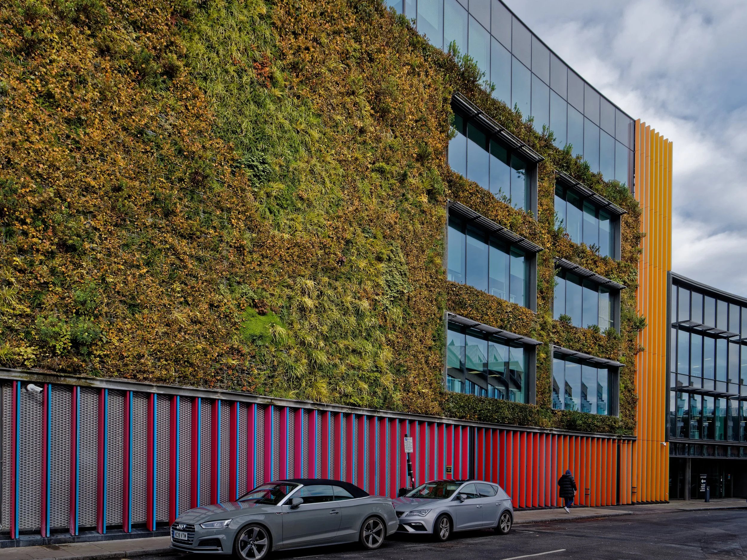 P1004141April 2022_G9_2_DxO.jpg