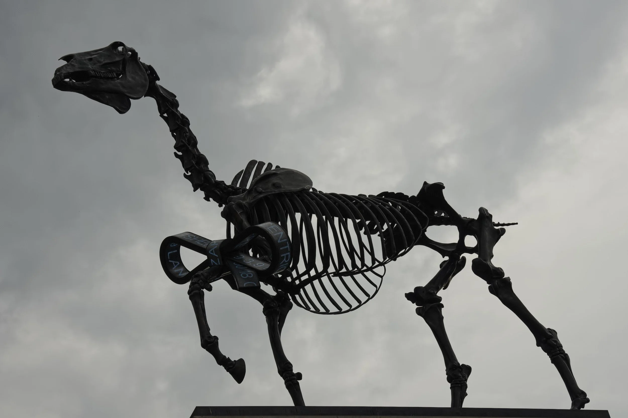 Jack_Daddy May2106_20.jpg