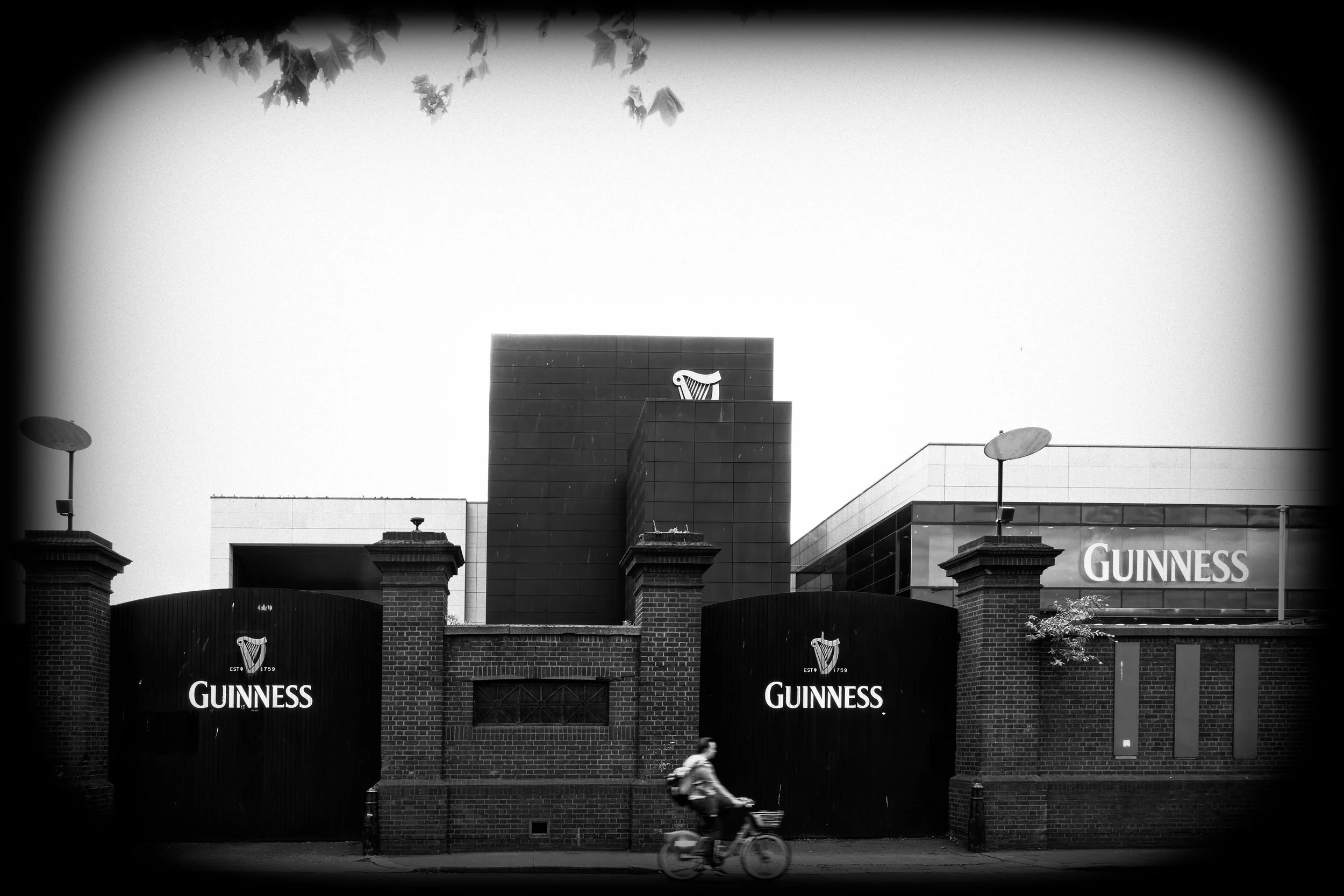 RX501021Dublin August 2022_78.jpg