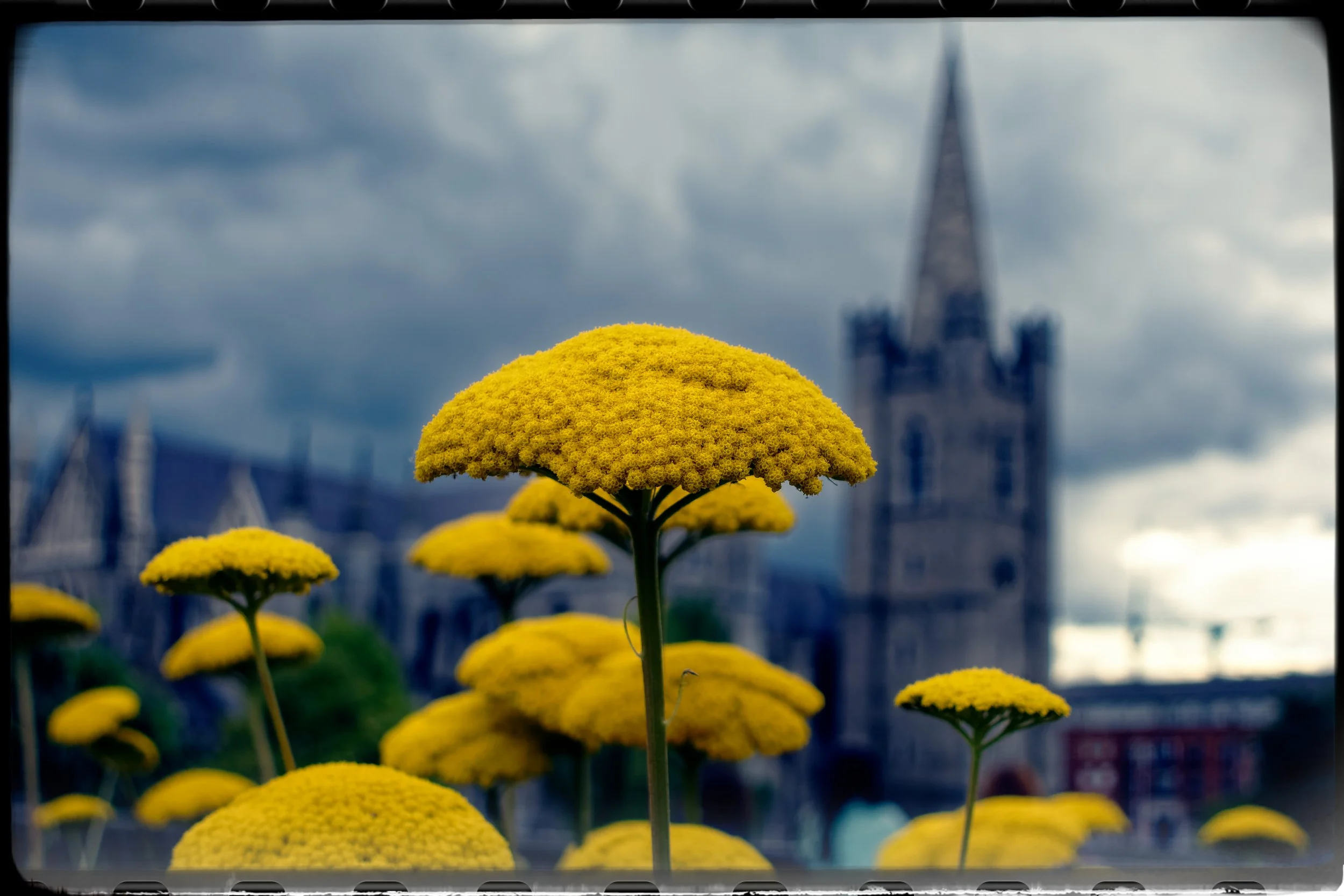 RX500882Dublin August 2022_51.jpg