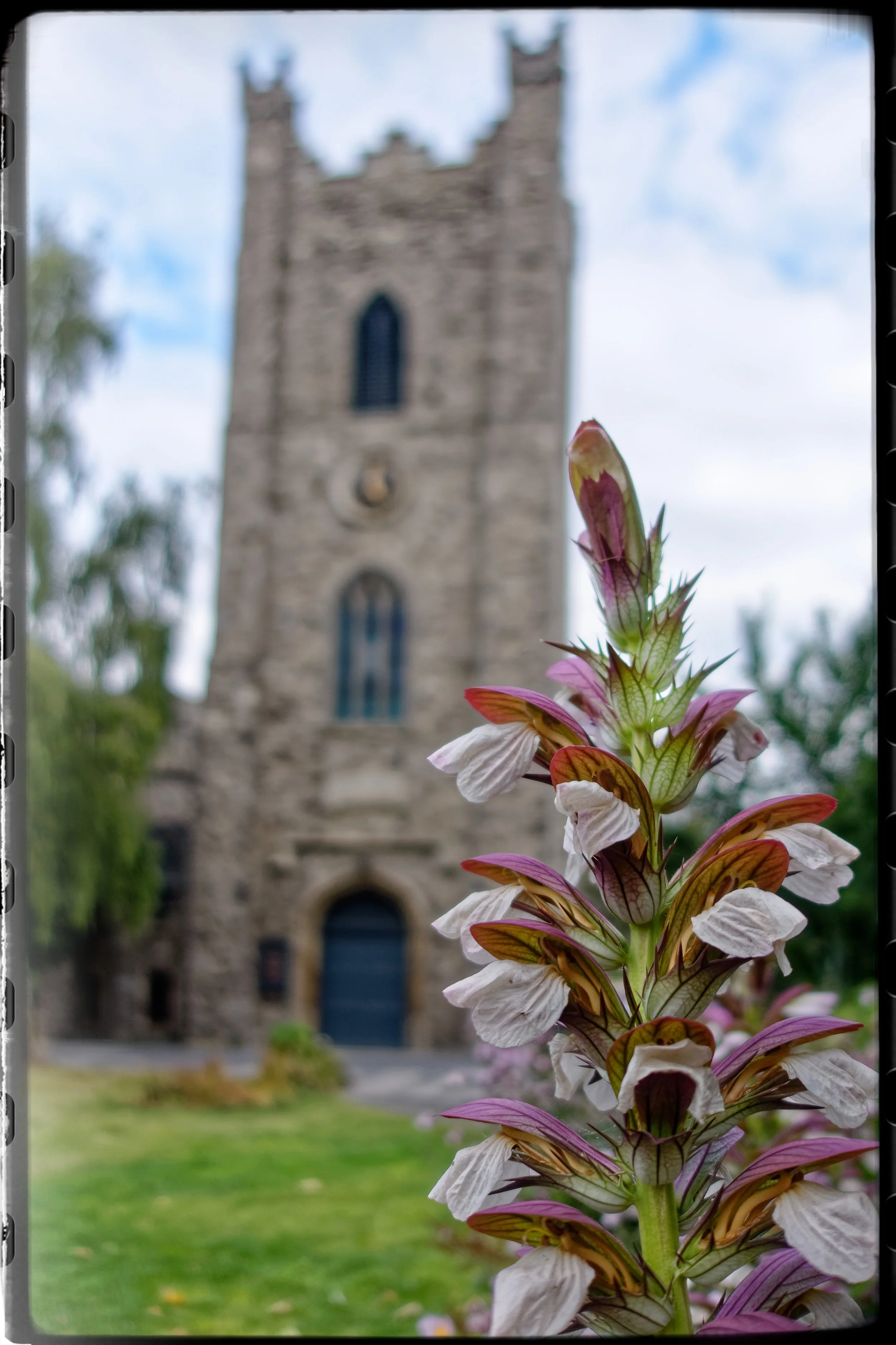 RX500854Dublin August 2022_44.jpg