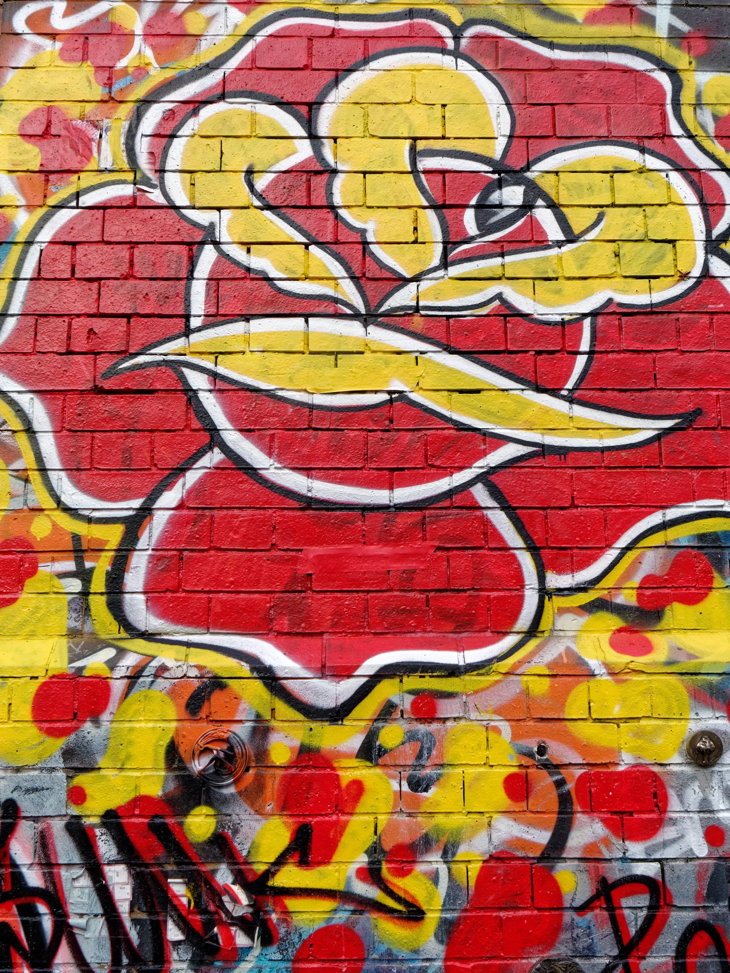 P1004145April 2022_G9_4_DxO.jpg