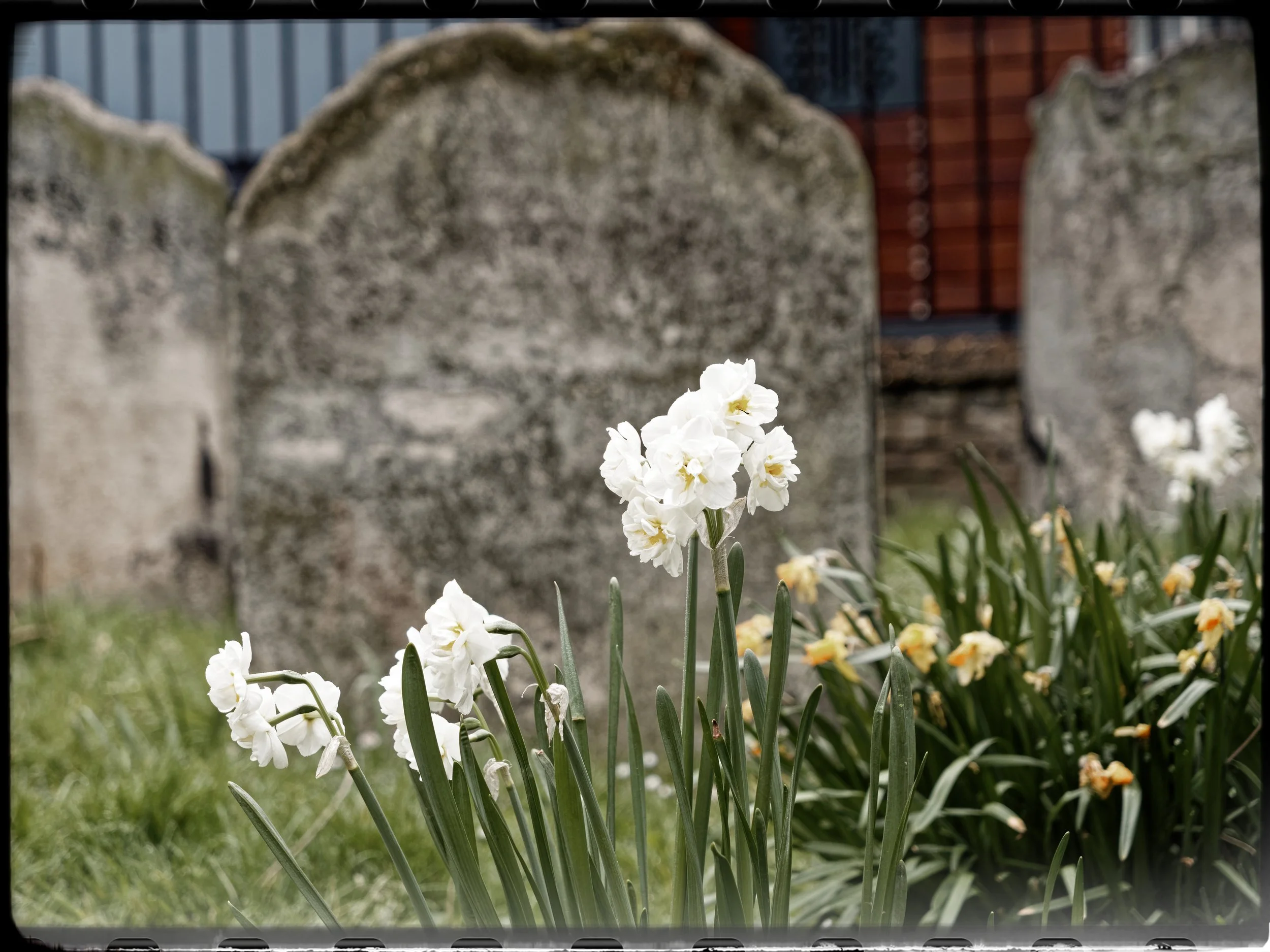 P1004264April 2022_G9_34_DxO.jpg