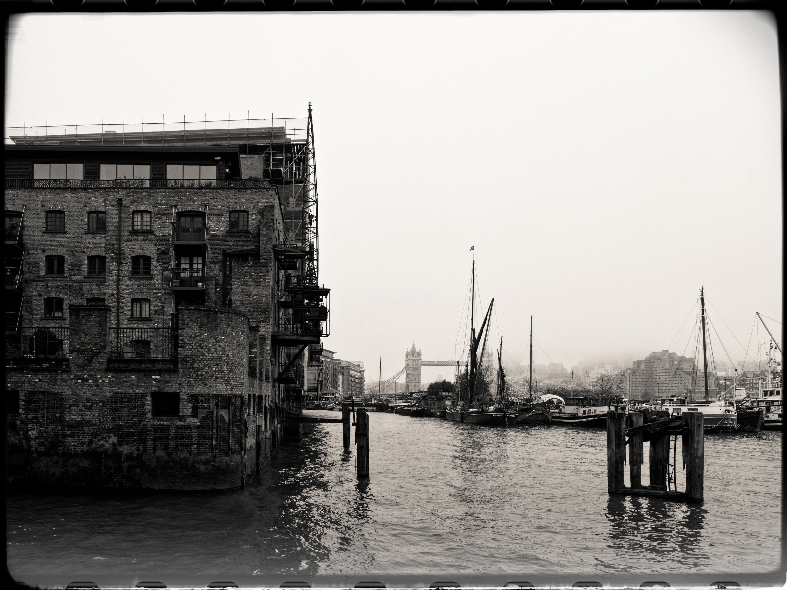 P1004258April 2022_G9_33_DxO.jpg