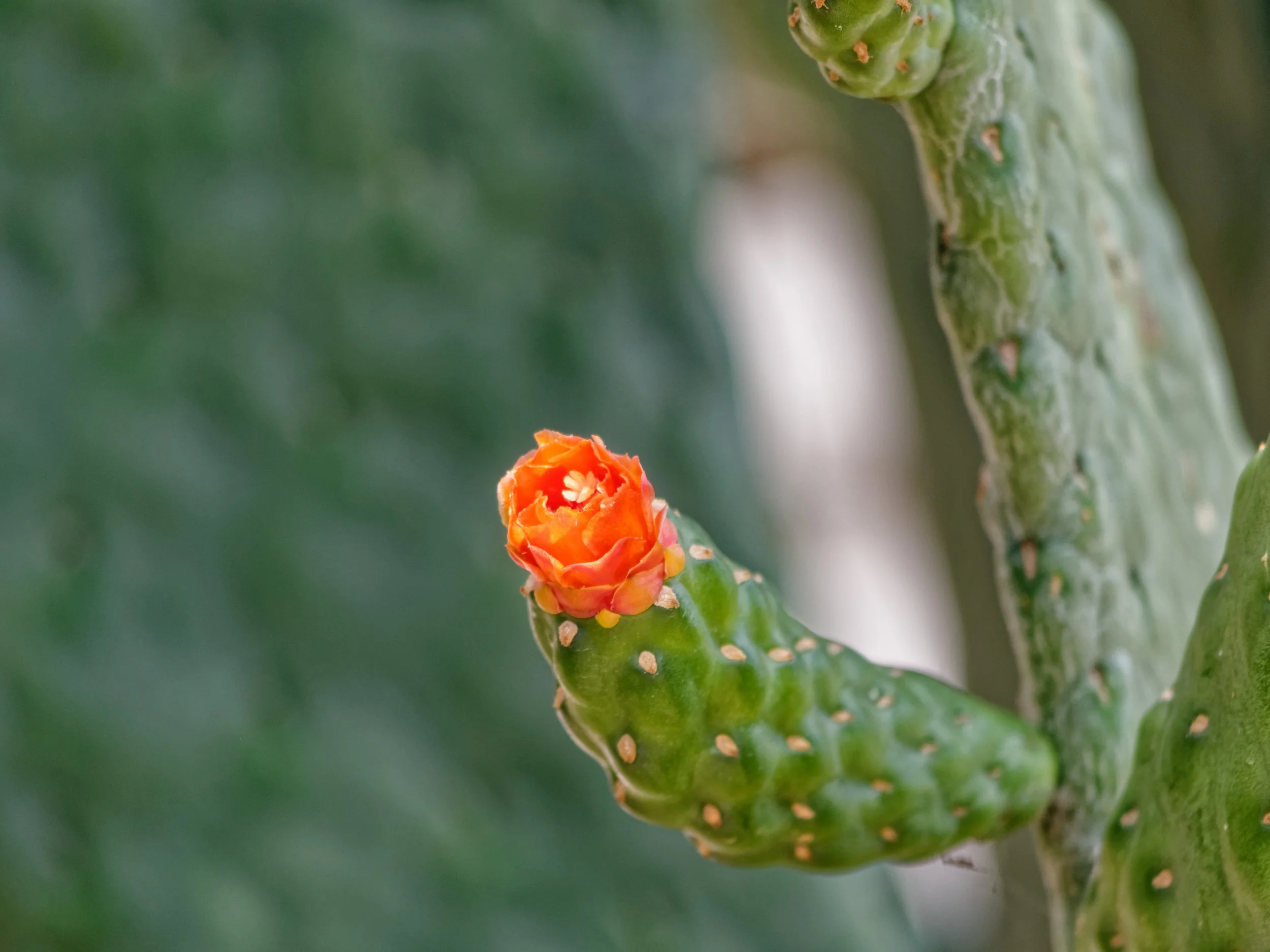 P1004542April 2022_G9_64_DxO.jpg