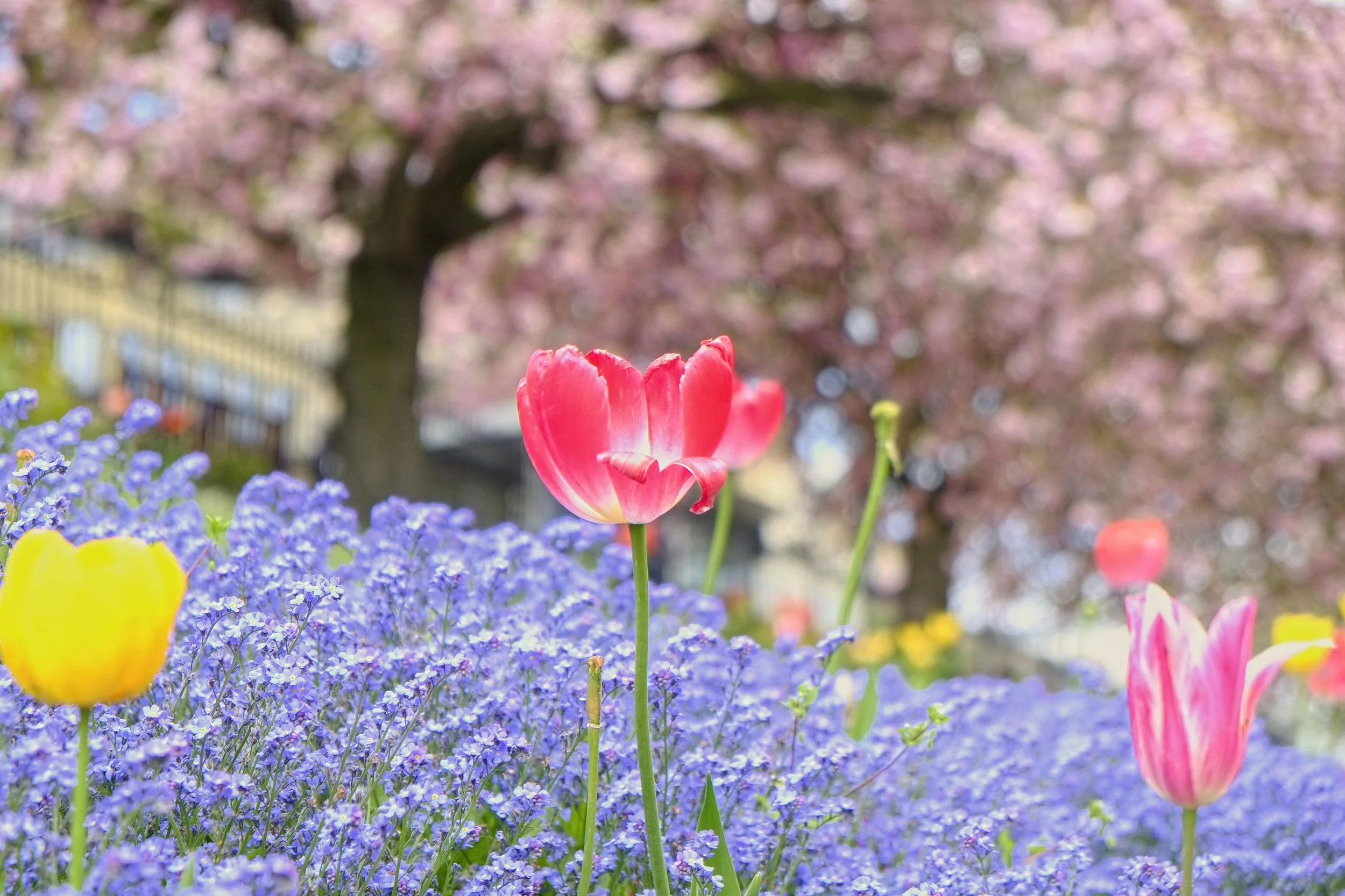 Jack_Daddy May2106_143.jpg