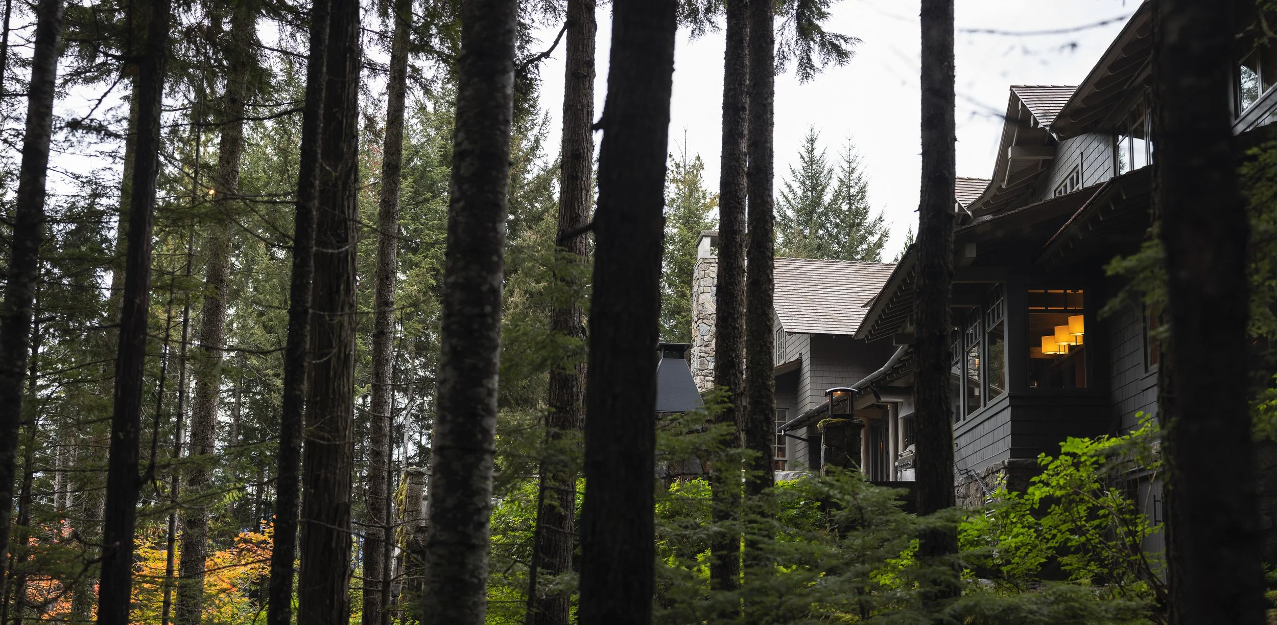 Whistler house exterior nestled in tall evergreens, viewed through the forest with warm interior light glowing at dusk.