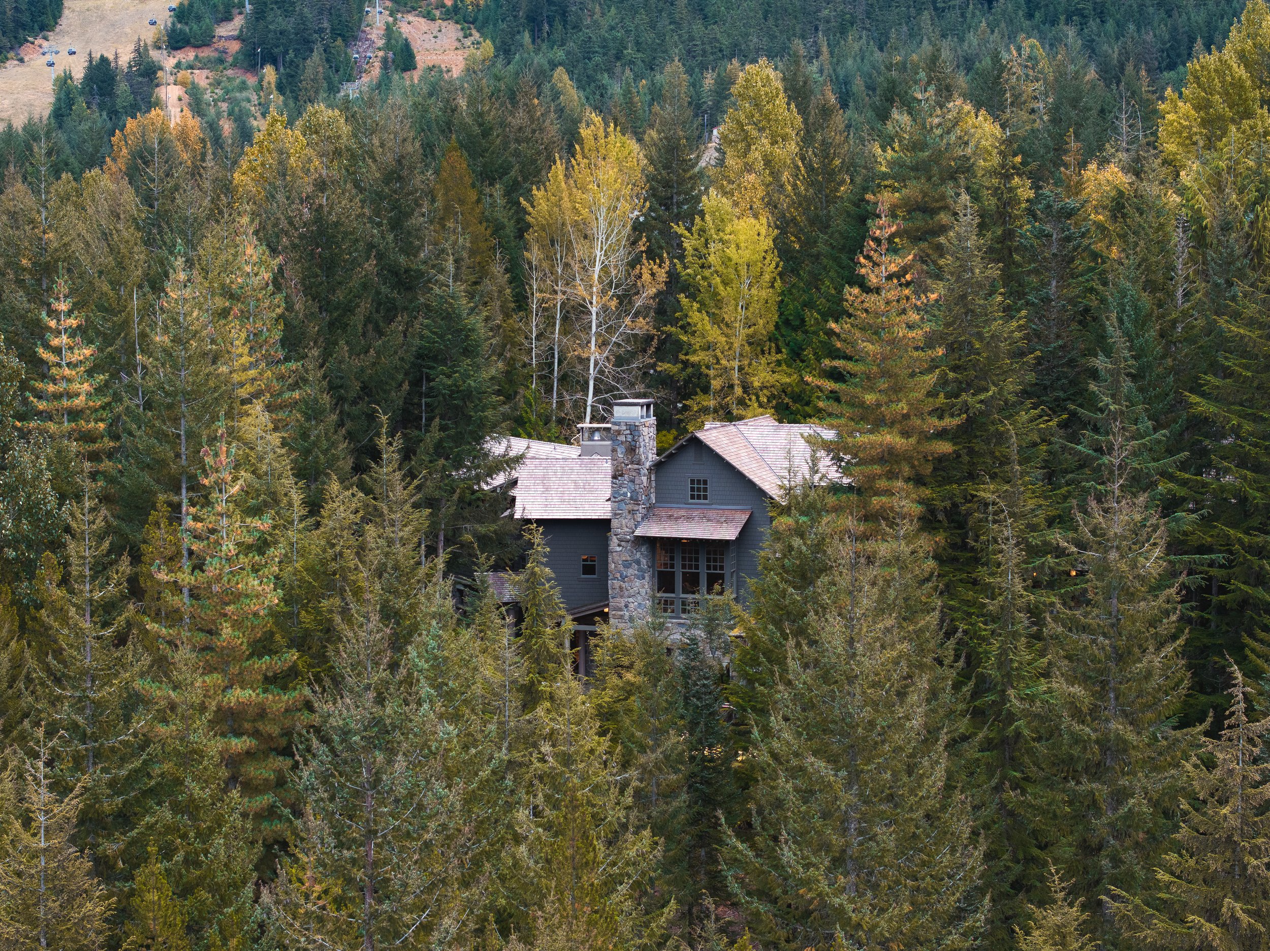 Aerial view of a Whistler home tucked into dense evergreen forest during autumn.